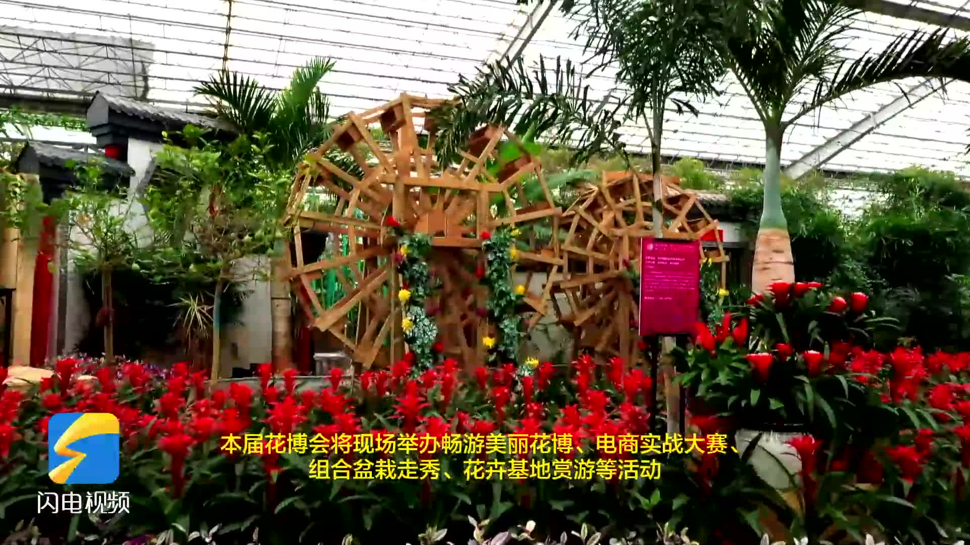 花儿让生活更美好！第21届中国（青州）花卉博览交易会暨第15届山东省花卉交易会开幕