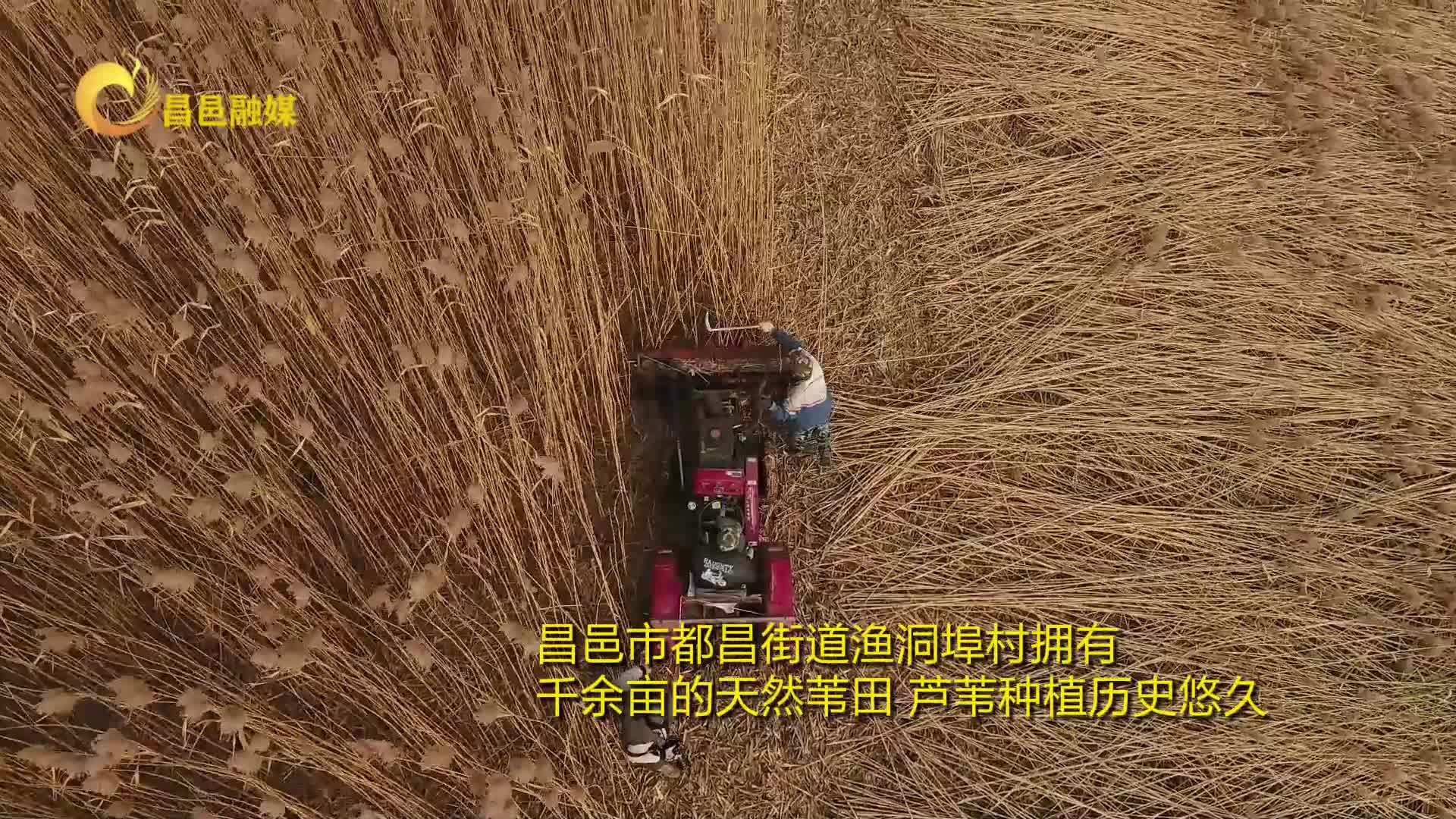 ��«έ���ࡱ������·