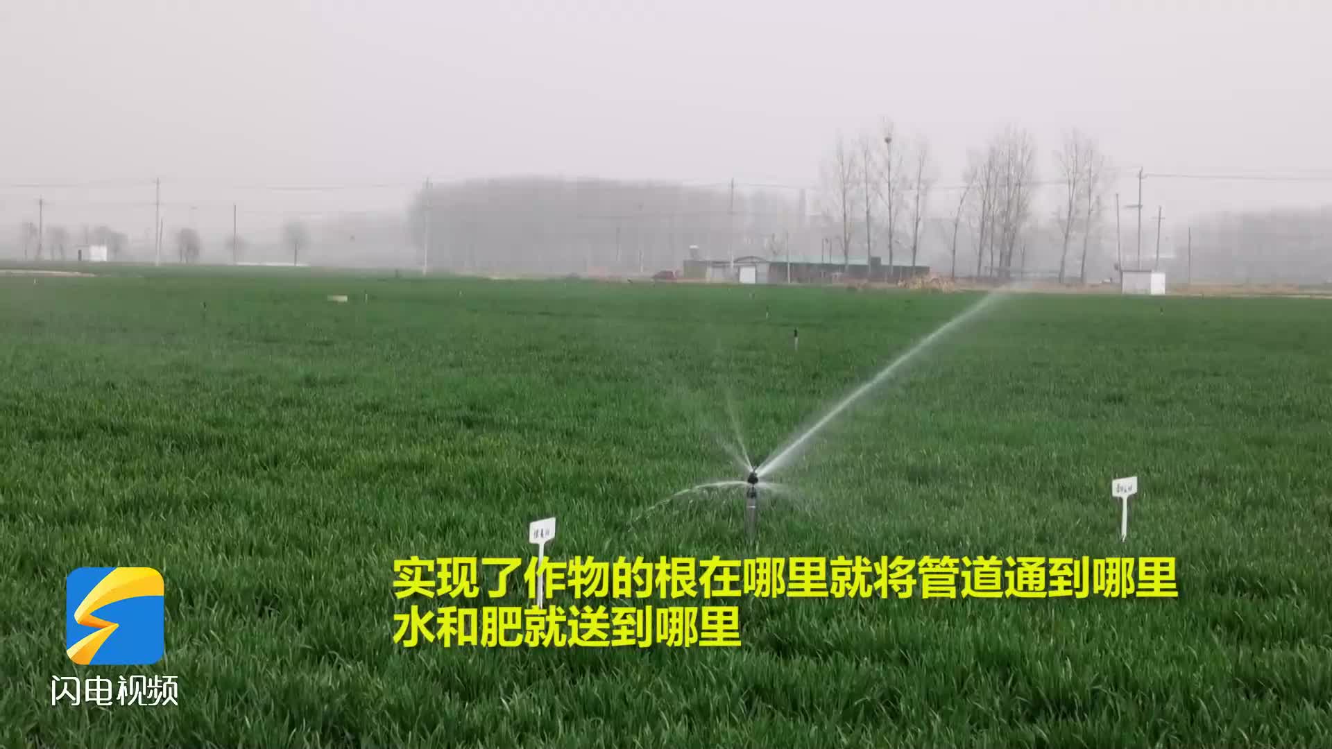 科技兴农 滕州推广水肥一体化助力夏粮稳产增产