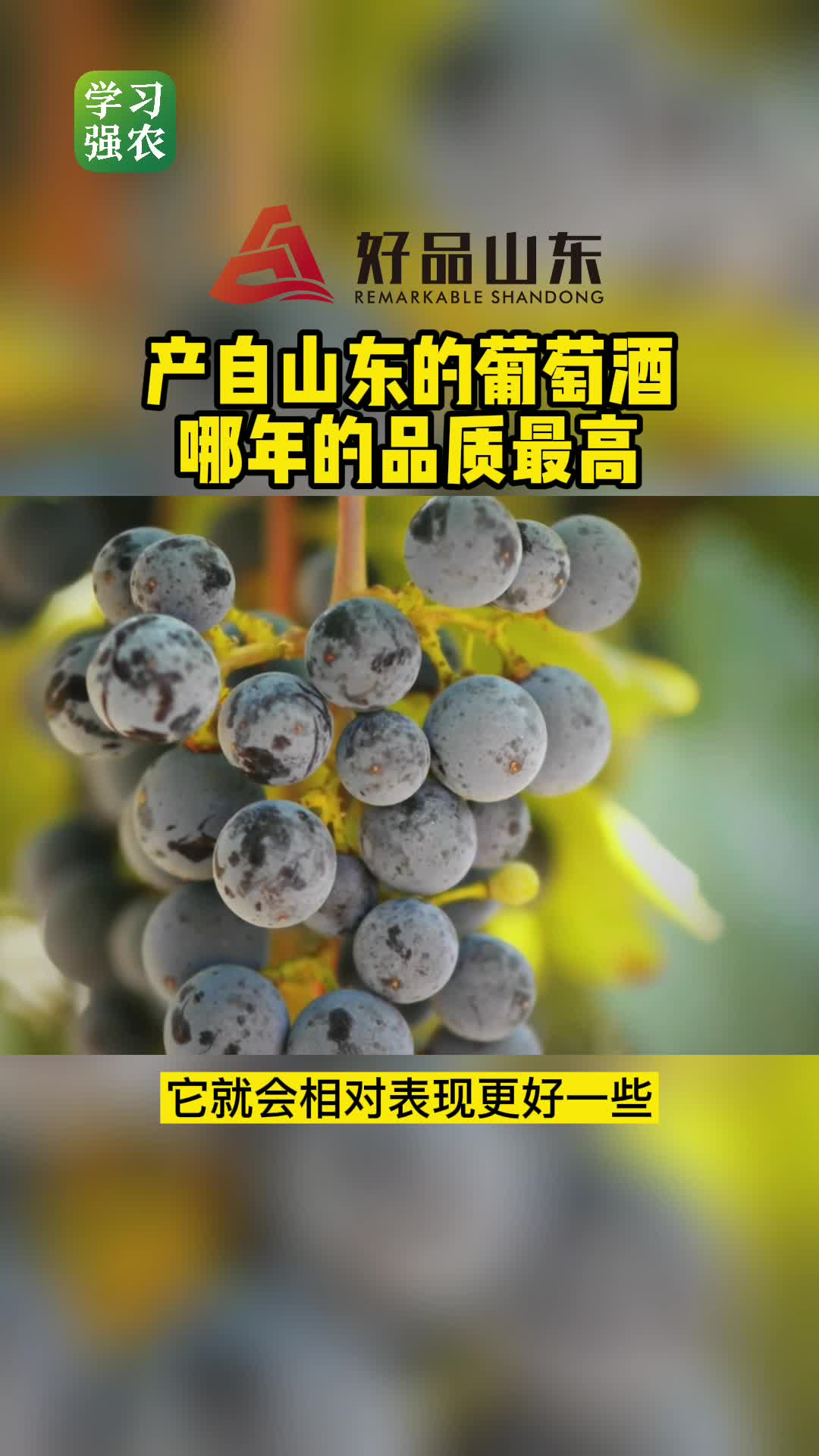 好品山东产自山东的葡萄酒哪年的品质最高