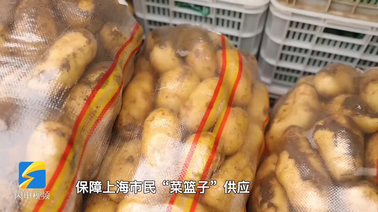 山东郯城60吨优选蔬菜紧急驰援上海 以后每隔一天送30吨