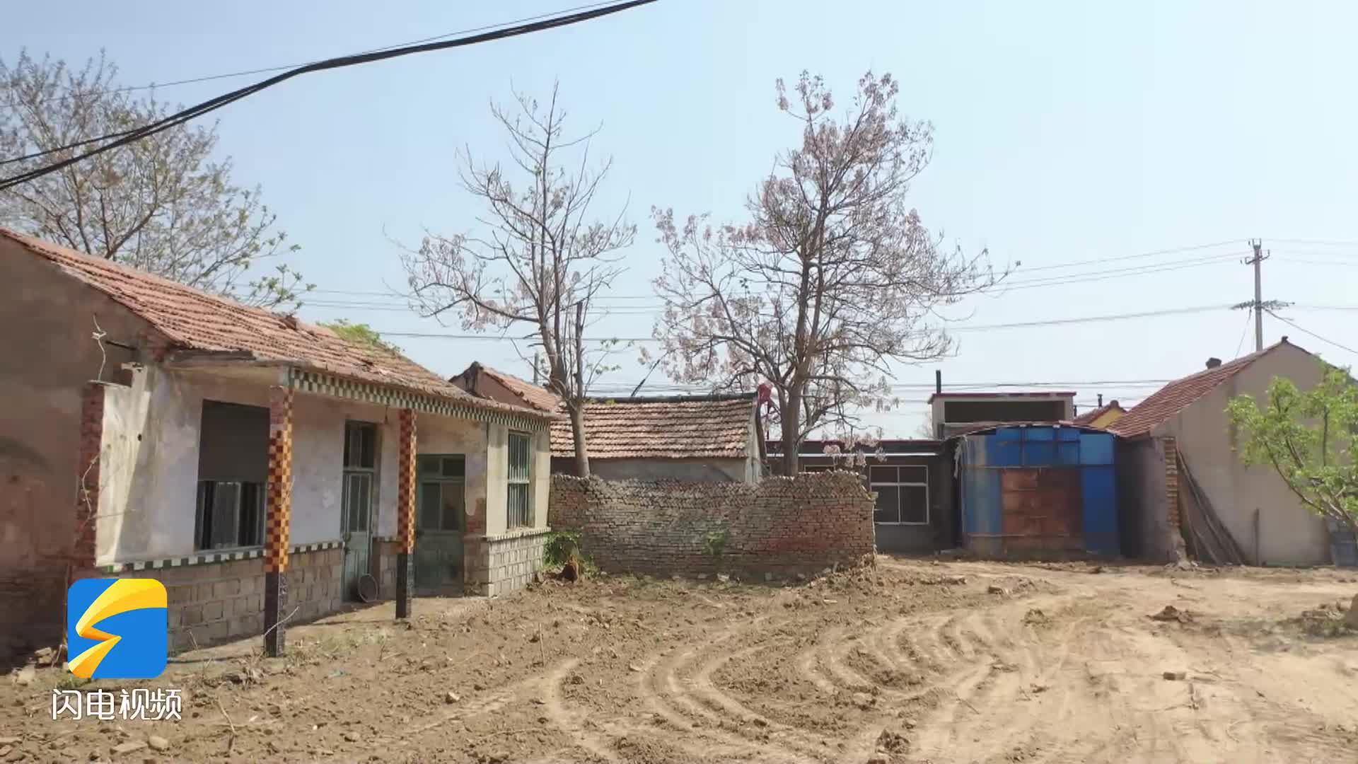 广饶县花官镇精细治理村居容貌展新颜