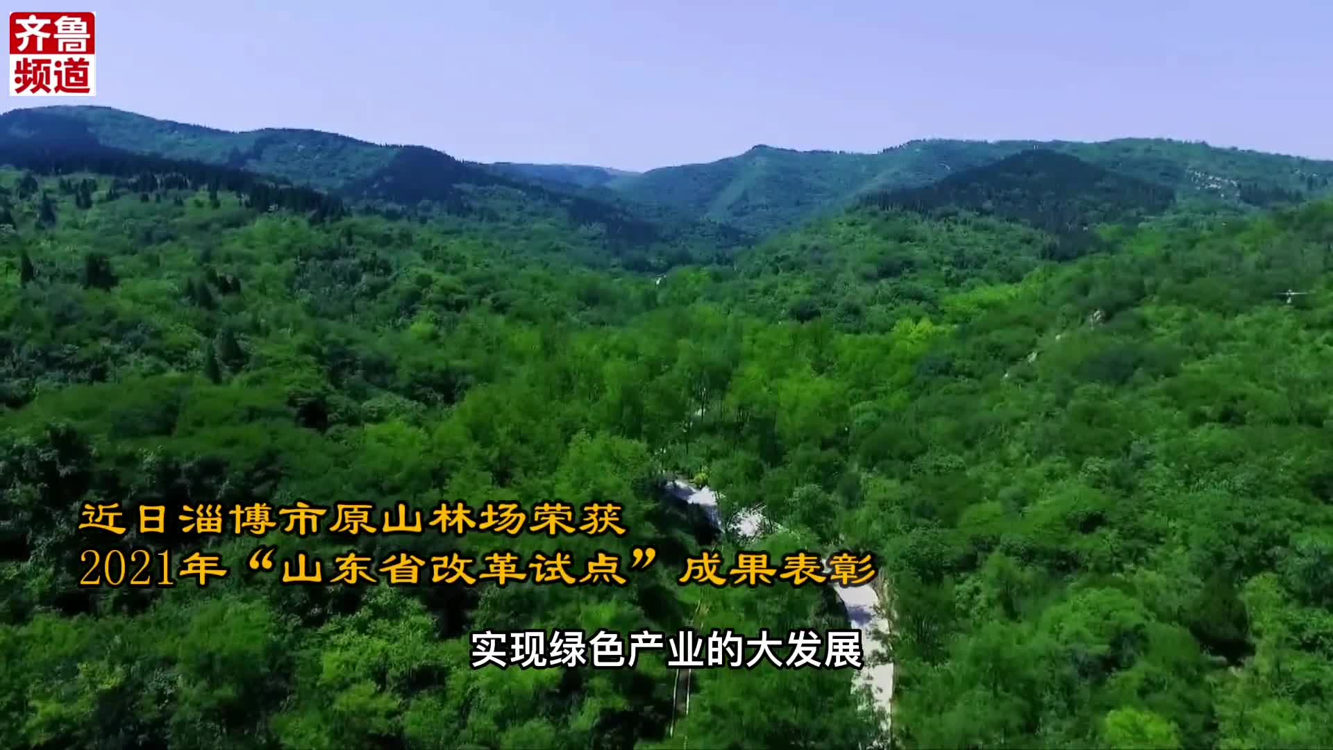 原山精神淄博原山林场人艰苦创业改革创新让荒山秃岭变生态森林践行