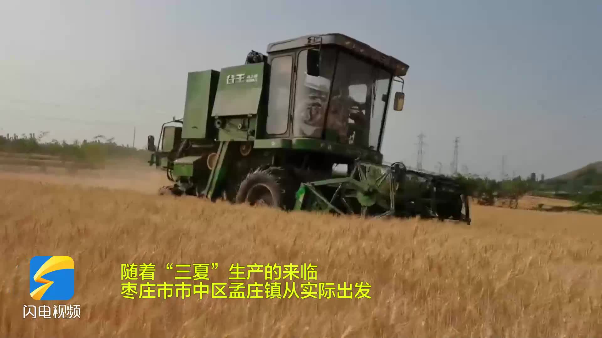 枣庄市市中区孟庄镇小麦开镰收割