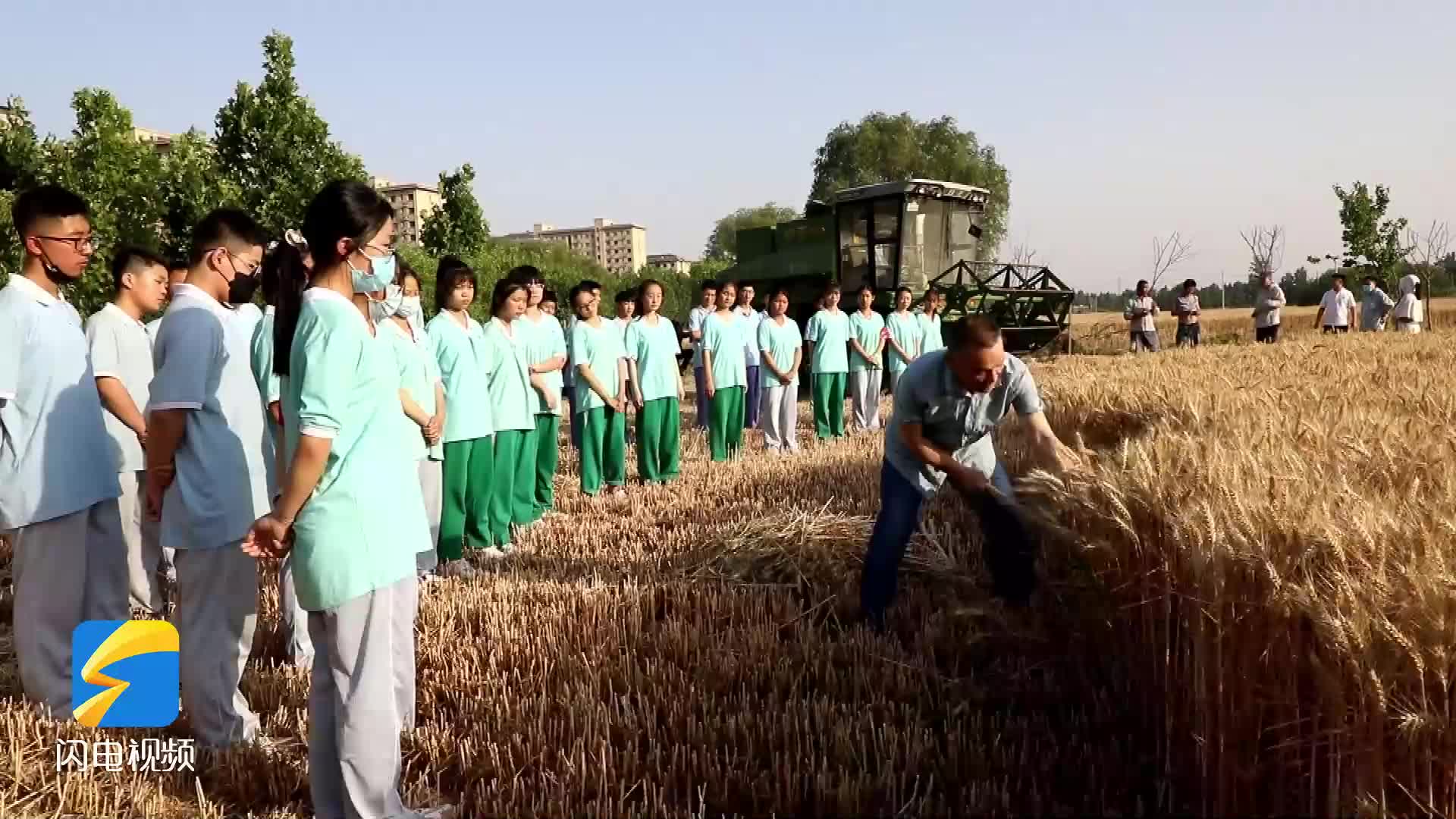 “体验式”感受麦收 “三夏”时节菏泽中学生们收割小麦干劲足