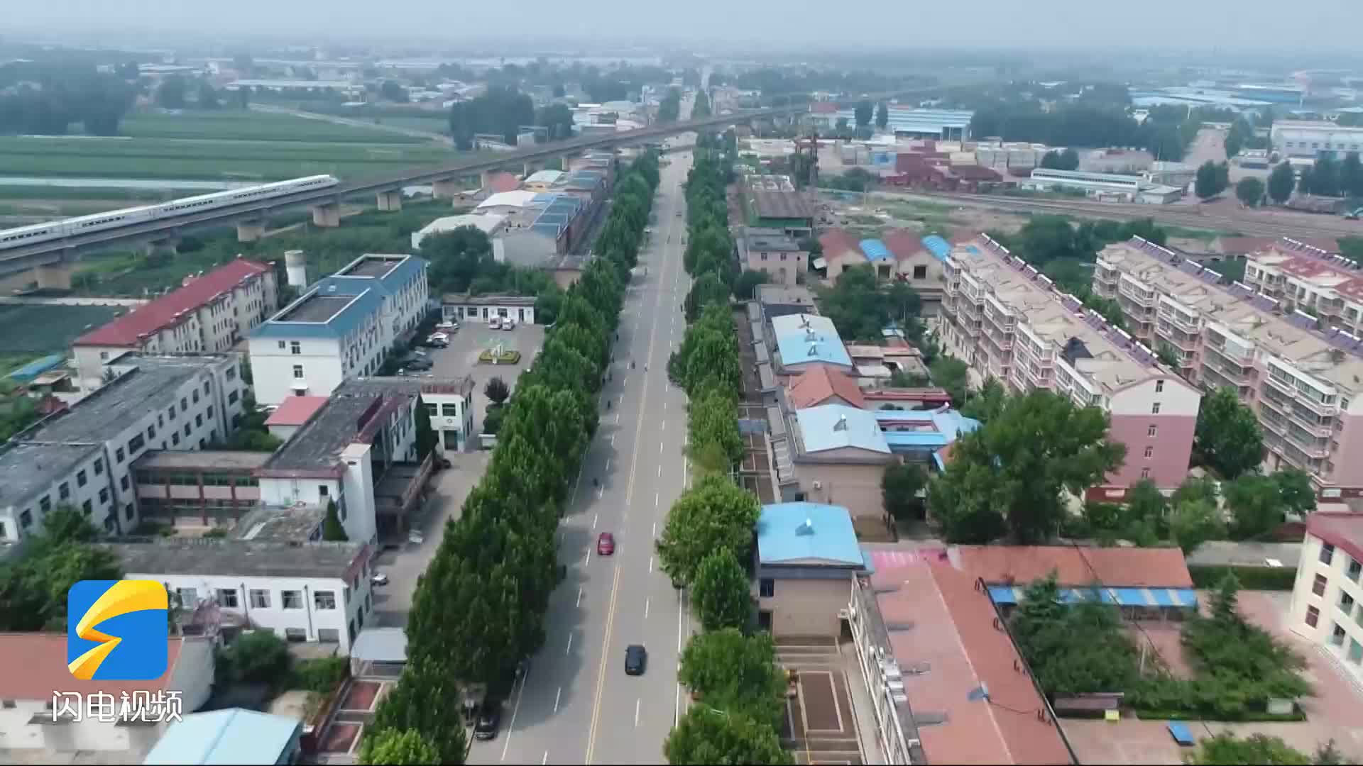 青州市东夏镇开展五清强基筑牢振兴根基