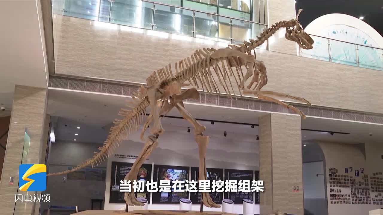 走在前 开新局｜穿越白垩纪 跟记者一起打卡“中国恐龙之乡”莱阳