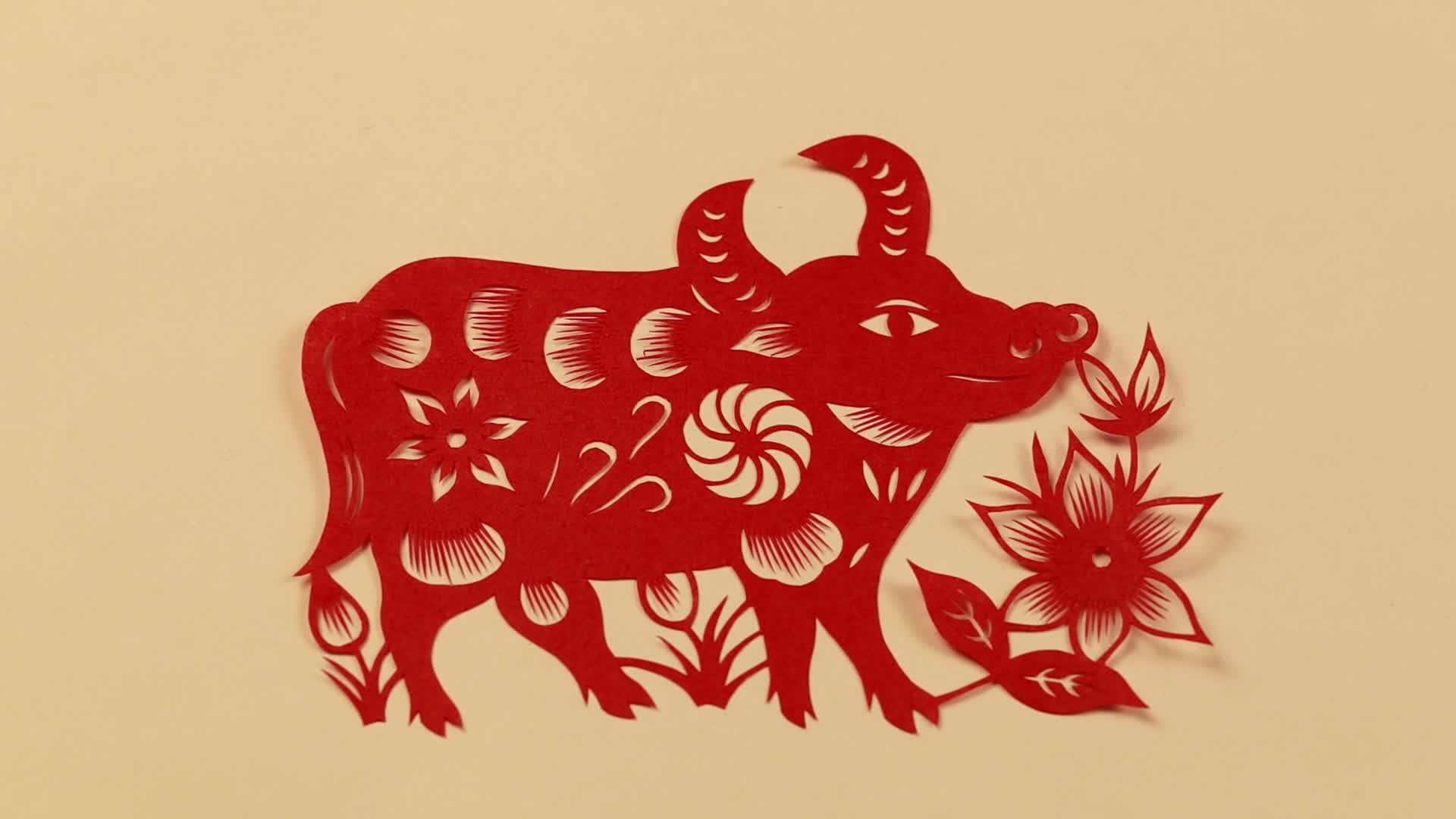 山东手造|德州市宁津县保店镇:山花剪纸之十二生肖丑牛-智慧宁津