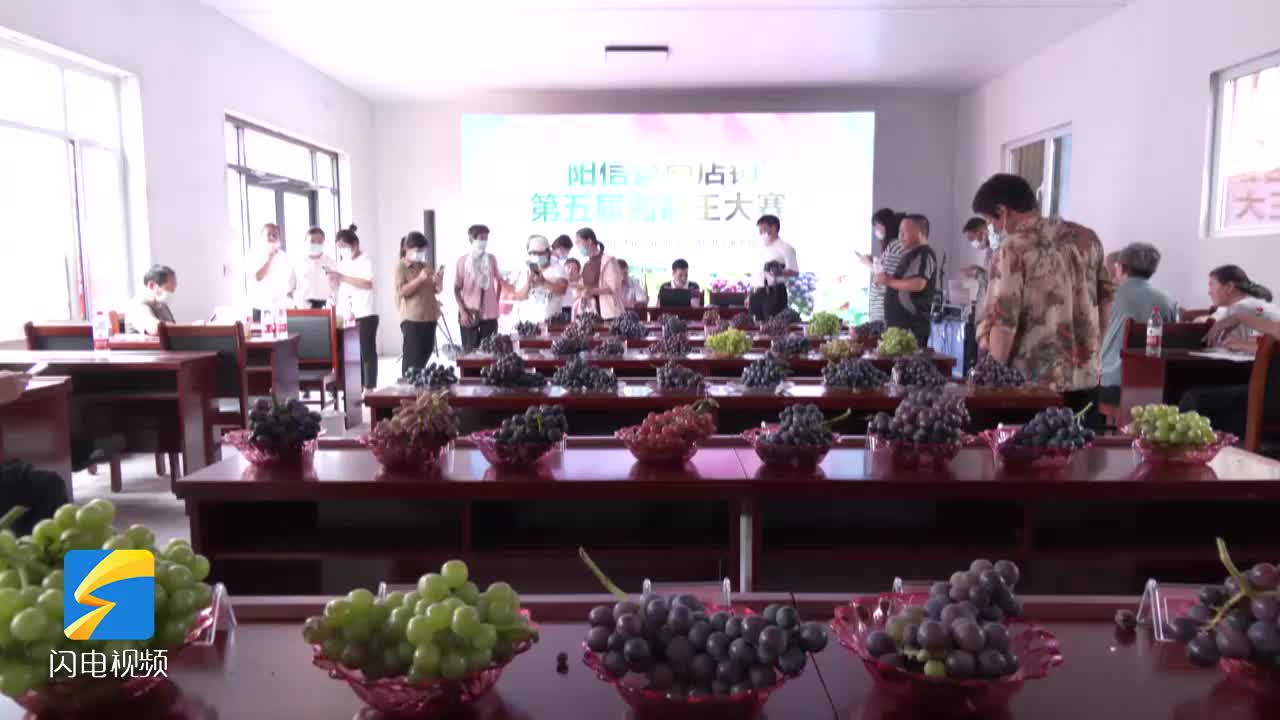 陽信縣商店鎮第五屆“葡萄王”大賽順利舉辦
