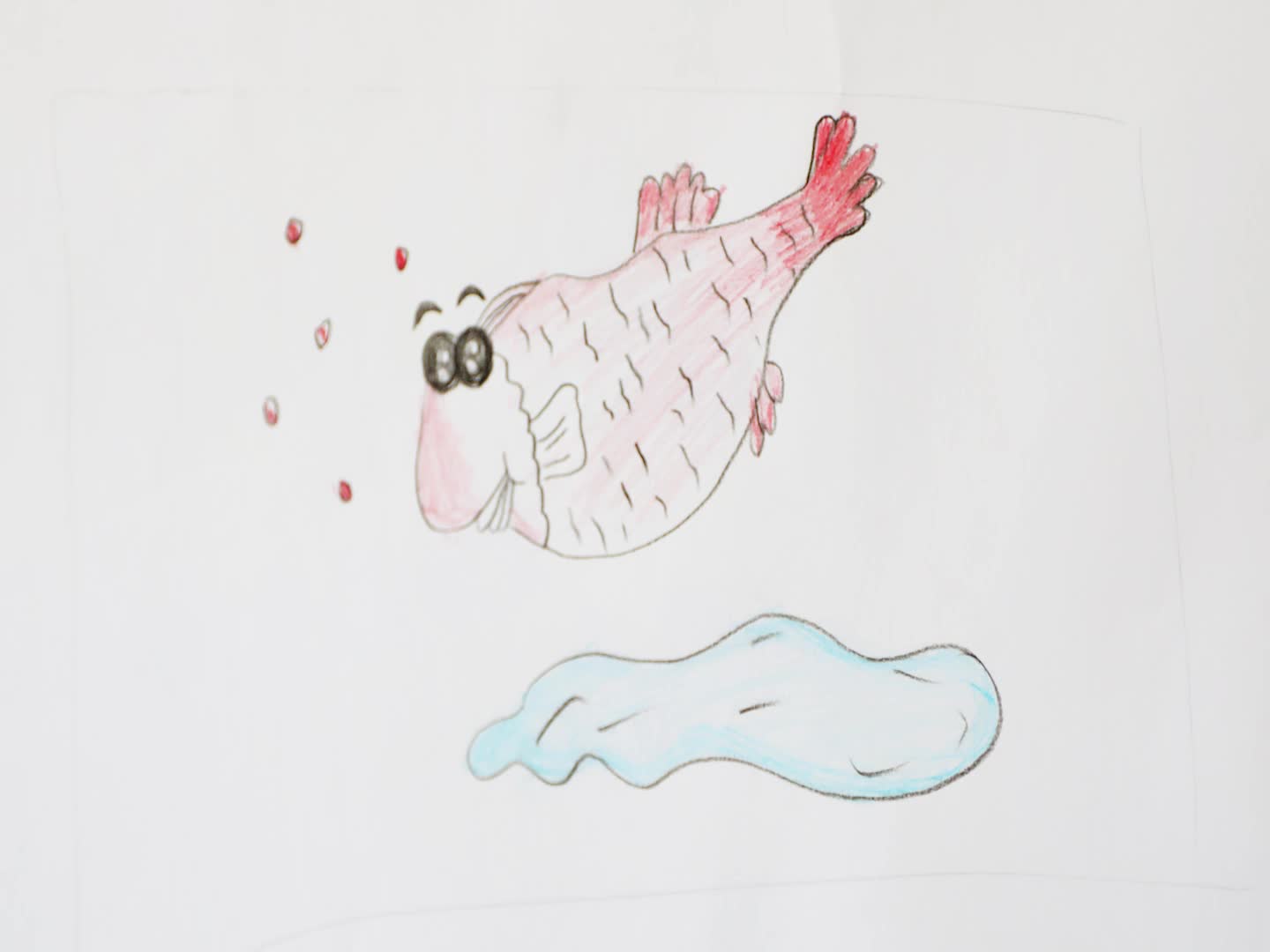 看童趣|成语简笔画:如鱼得水-智慧宁津