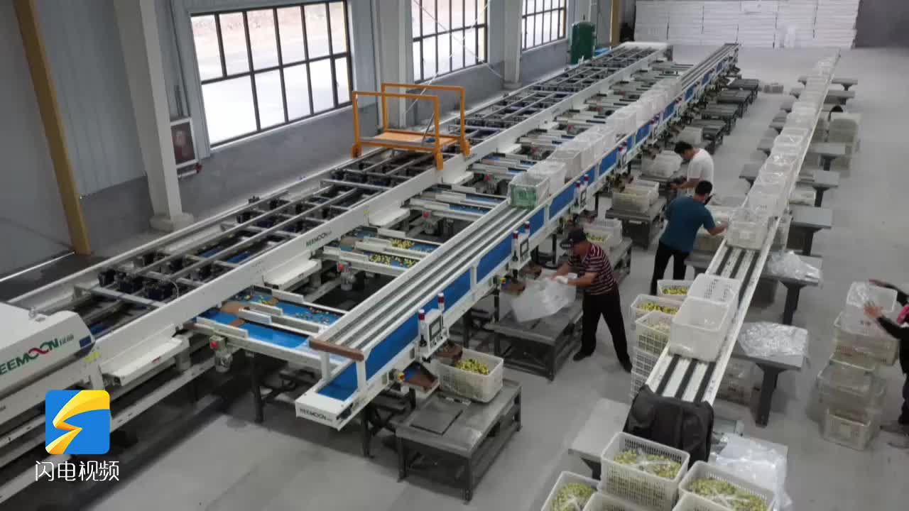 濱州沾化：數字賦能 助力冬棗銷售