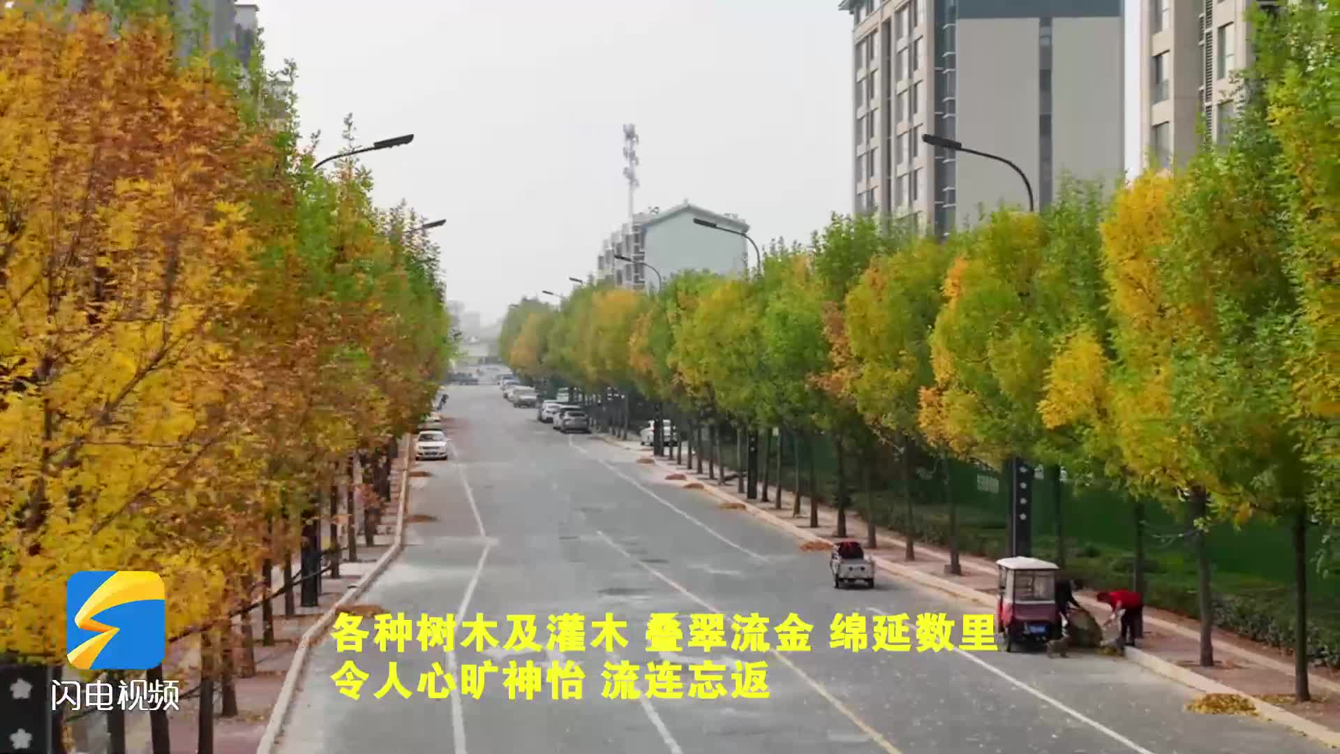 枣庄市台儿庄区：层林尽染秋满城