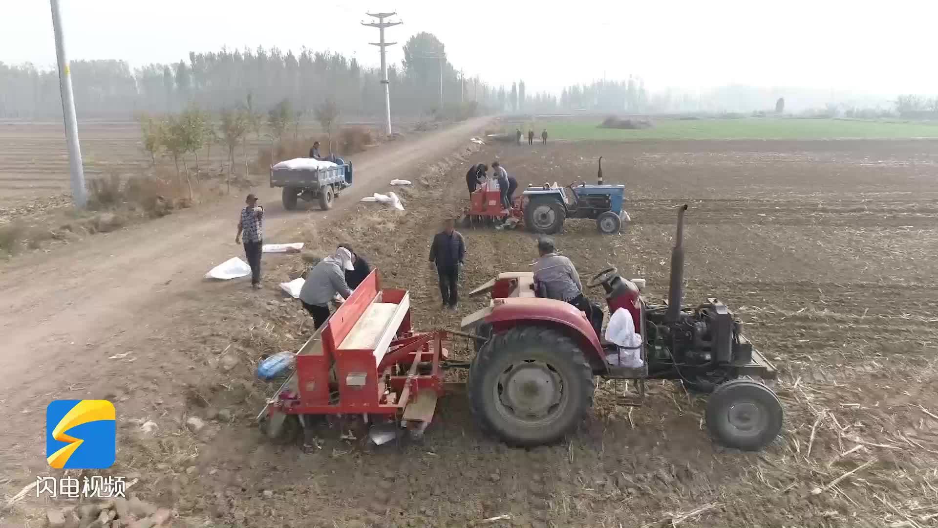 新泰：30.3万亩冬小麦播种超九成 农技人员一线支招“晚播户”