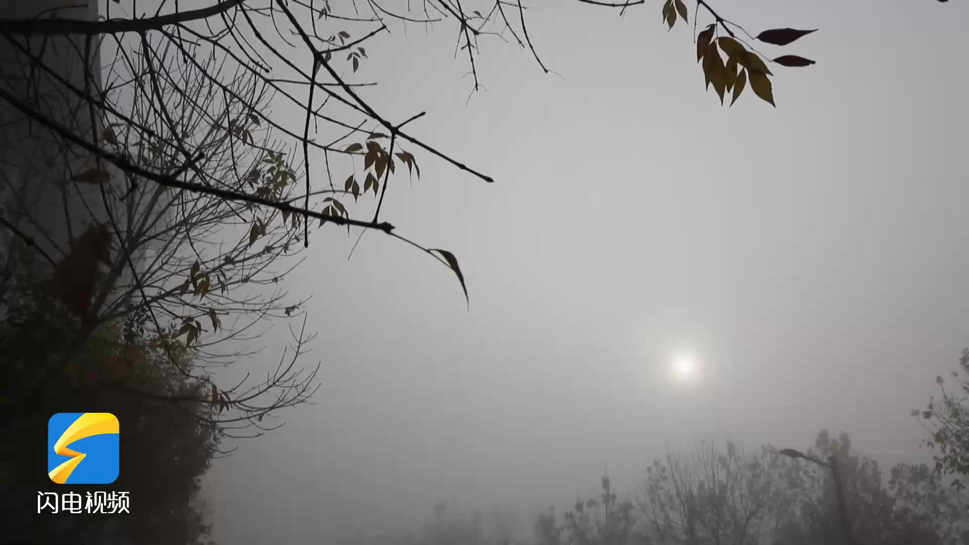 滨州沾化：雾天来袭 交警加强值守护航平安路