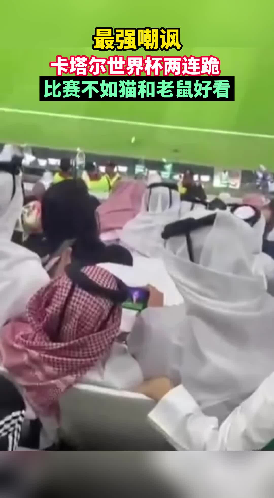 大无语事件！卡塔尔球迷在观众席看猫和老鼠