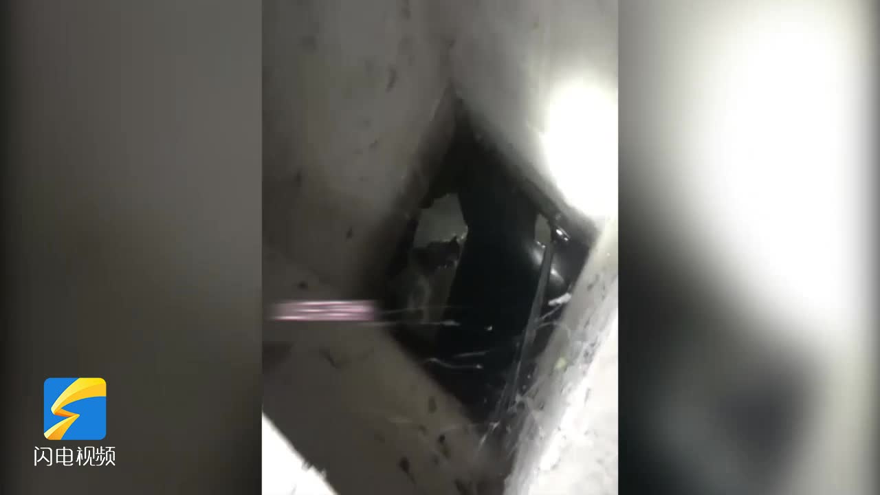 小貓掉入兩米深管道井 濱州消防員暖心營救