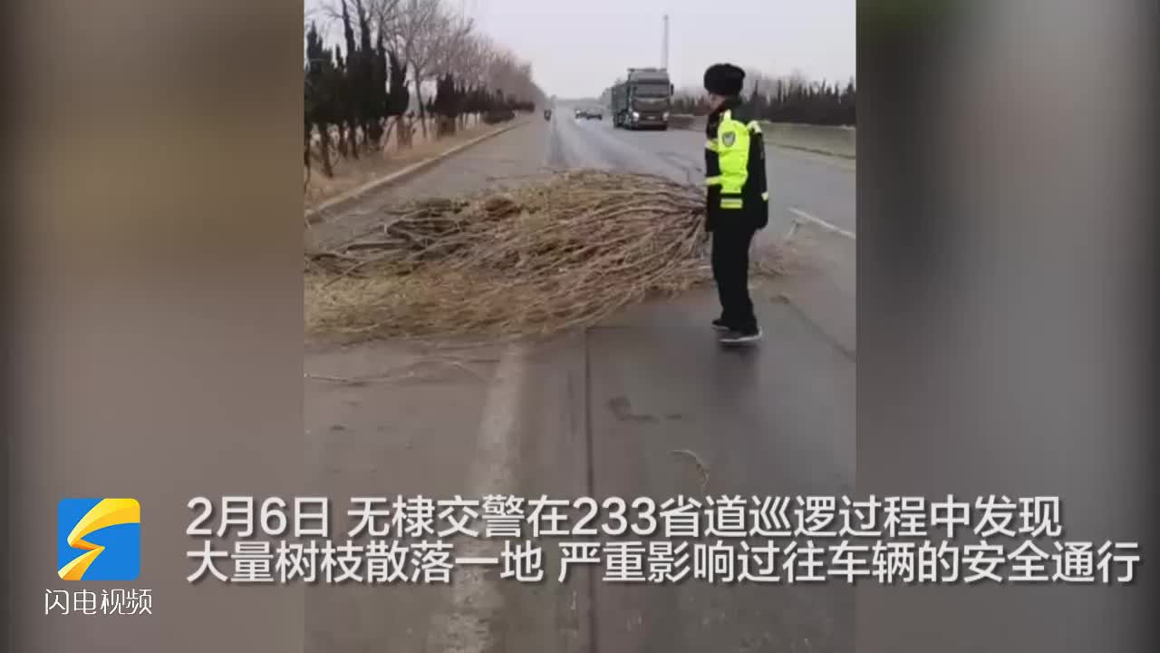 树枝散落一地 车流中无棣交警徒手清理路障