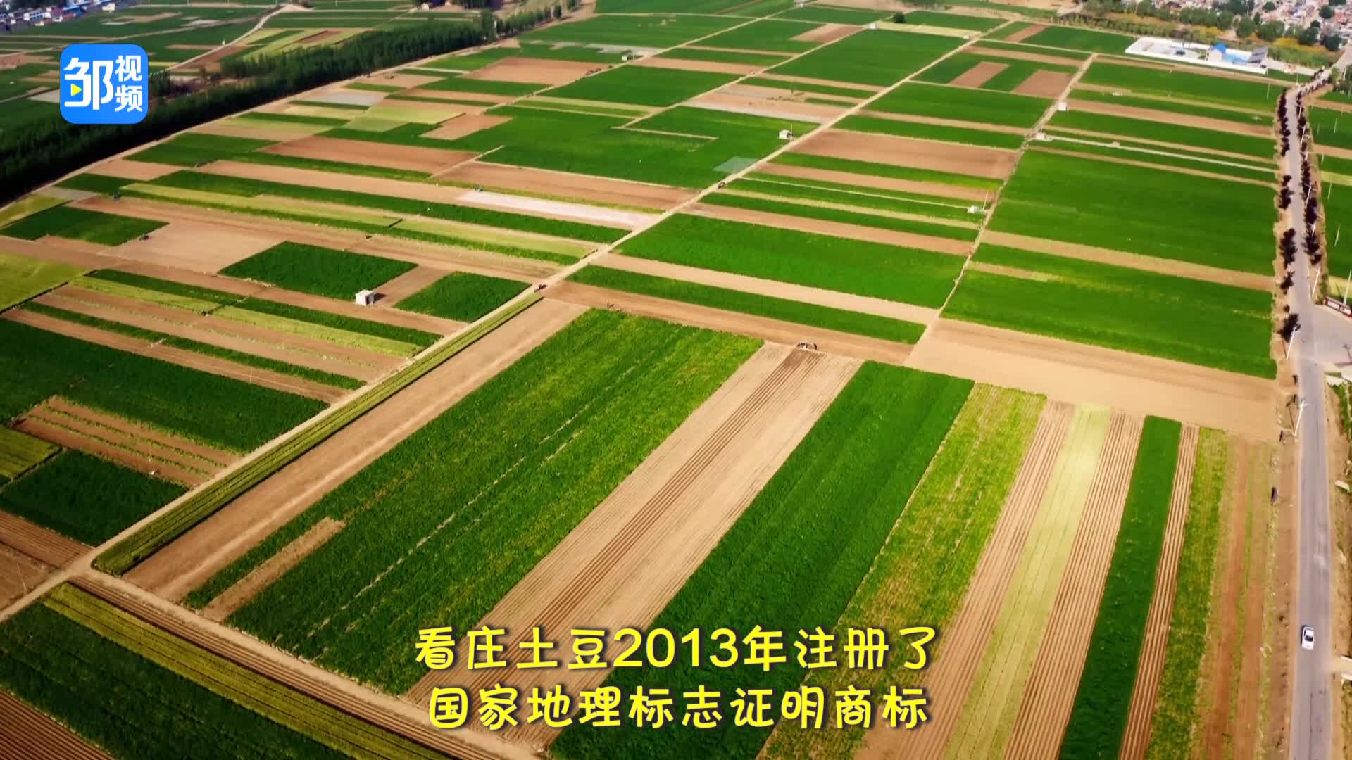 【邹视频·新闻】45秒丨邹城特色农产品——看庄土豆