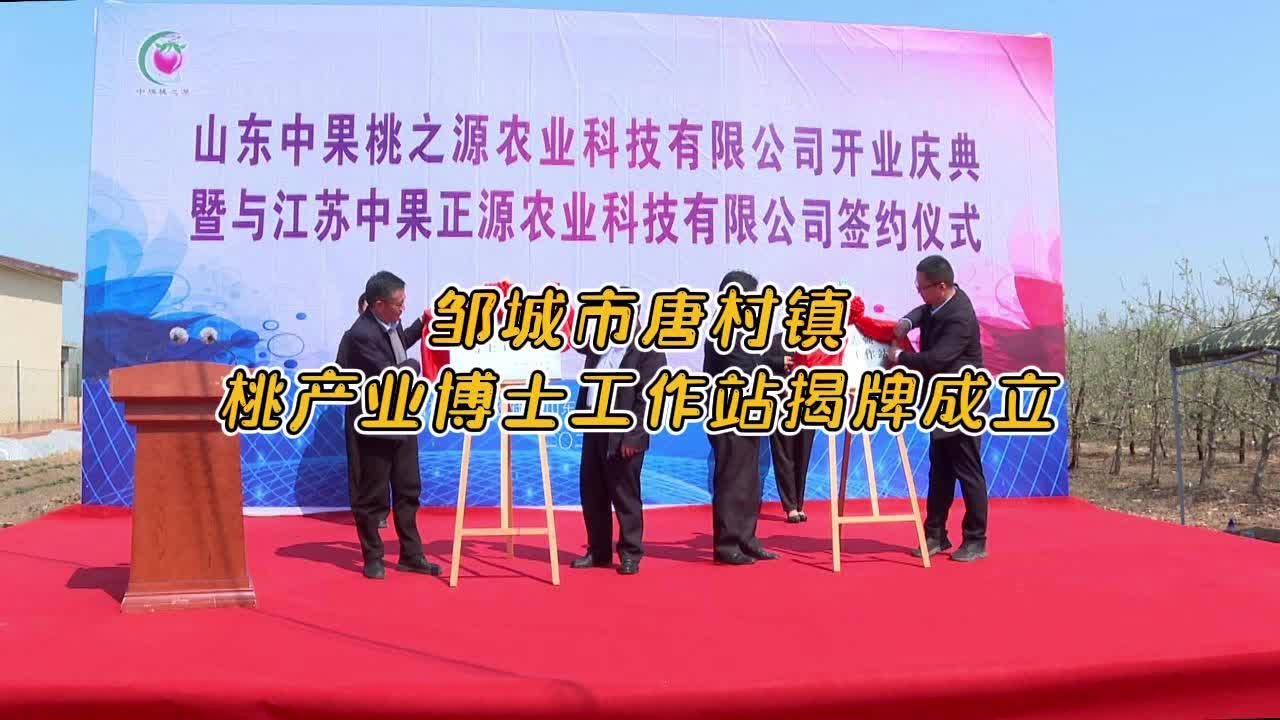 【邹视频·新闻】45秒 | 邹城市唐村镇桃产业博士工作站揭牌成立