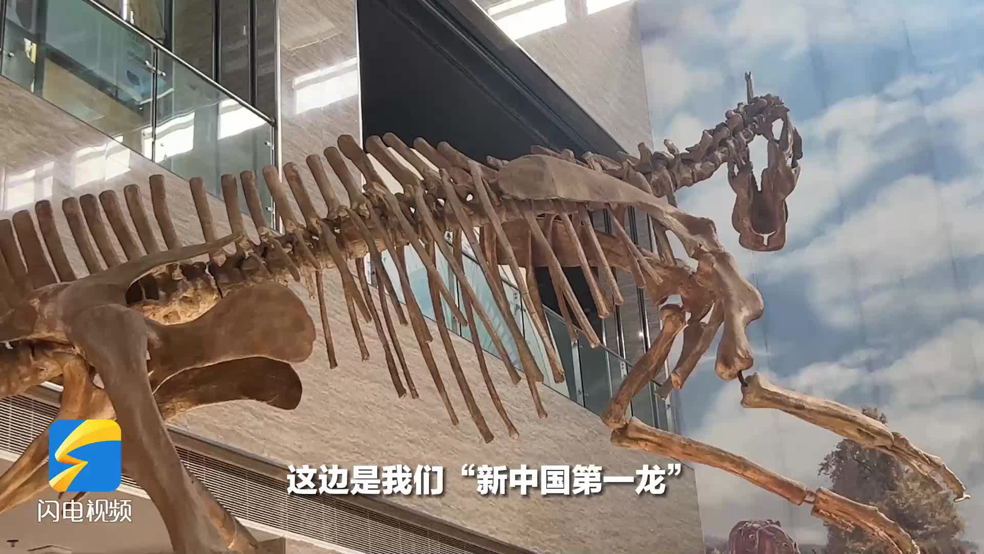 走黄渤海文化体验廊道主题采访｜已发现300多种古生物化石 来“恐龙之乡”打卡“新中国第一龙”出土地
