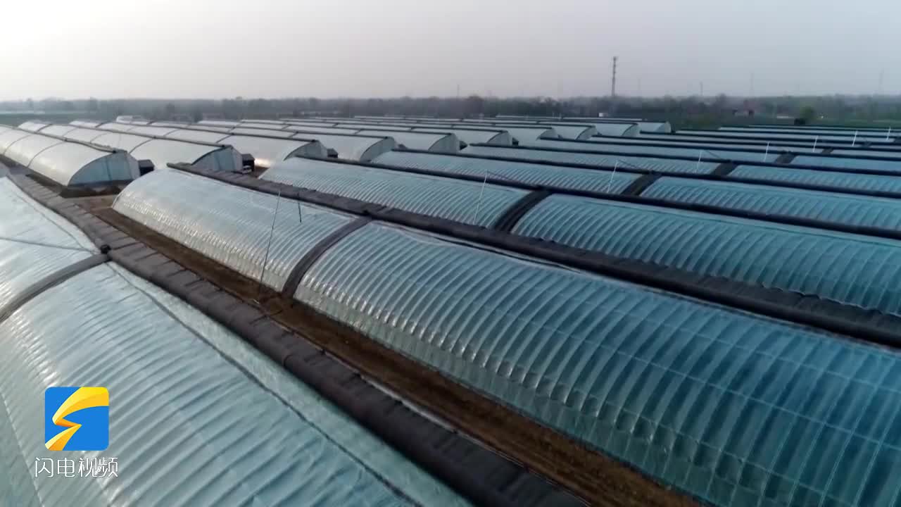 济南市济阳区：新技术 新设备 让农业插上科技的翅膀