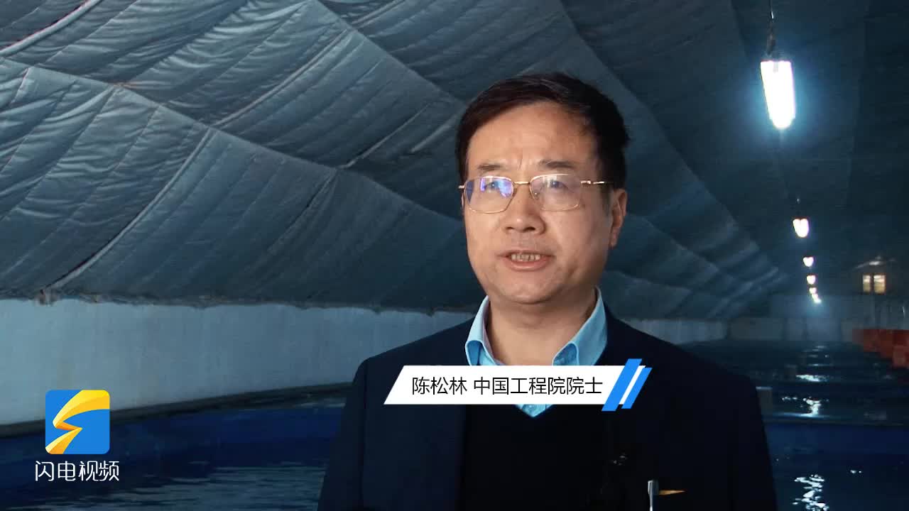 中国工程院院士陈松林：黄带拟鲹助力中国深远海养殖