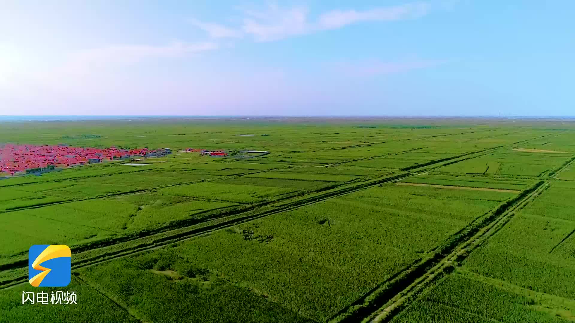 东营科技赋能让盐碱地孕育新生机