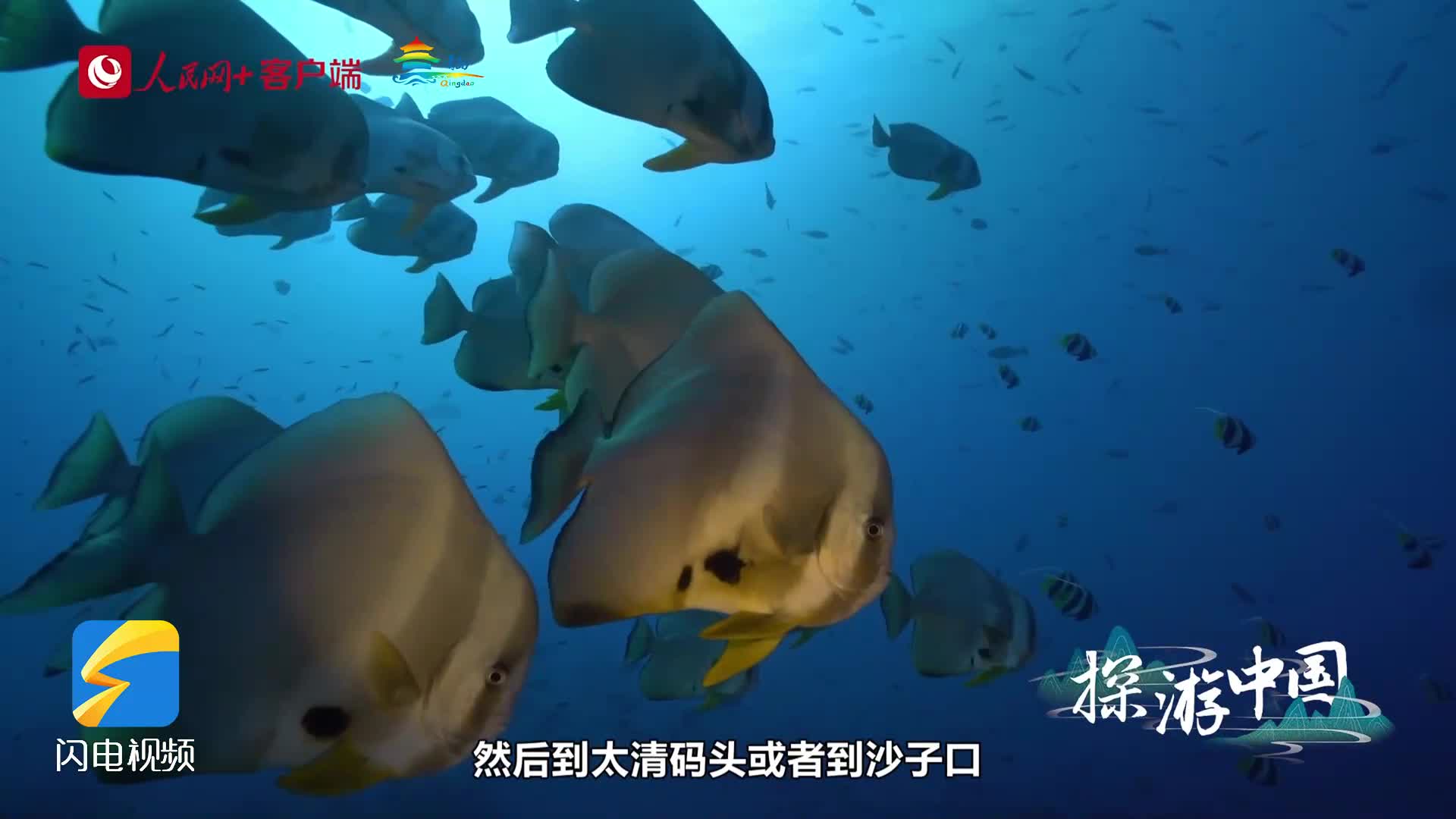 探游中國｜活力海洋之都 精彩宜人之城 時尚青島歡迎您