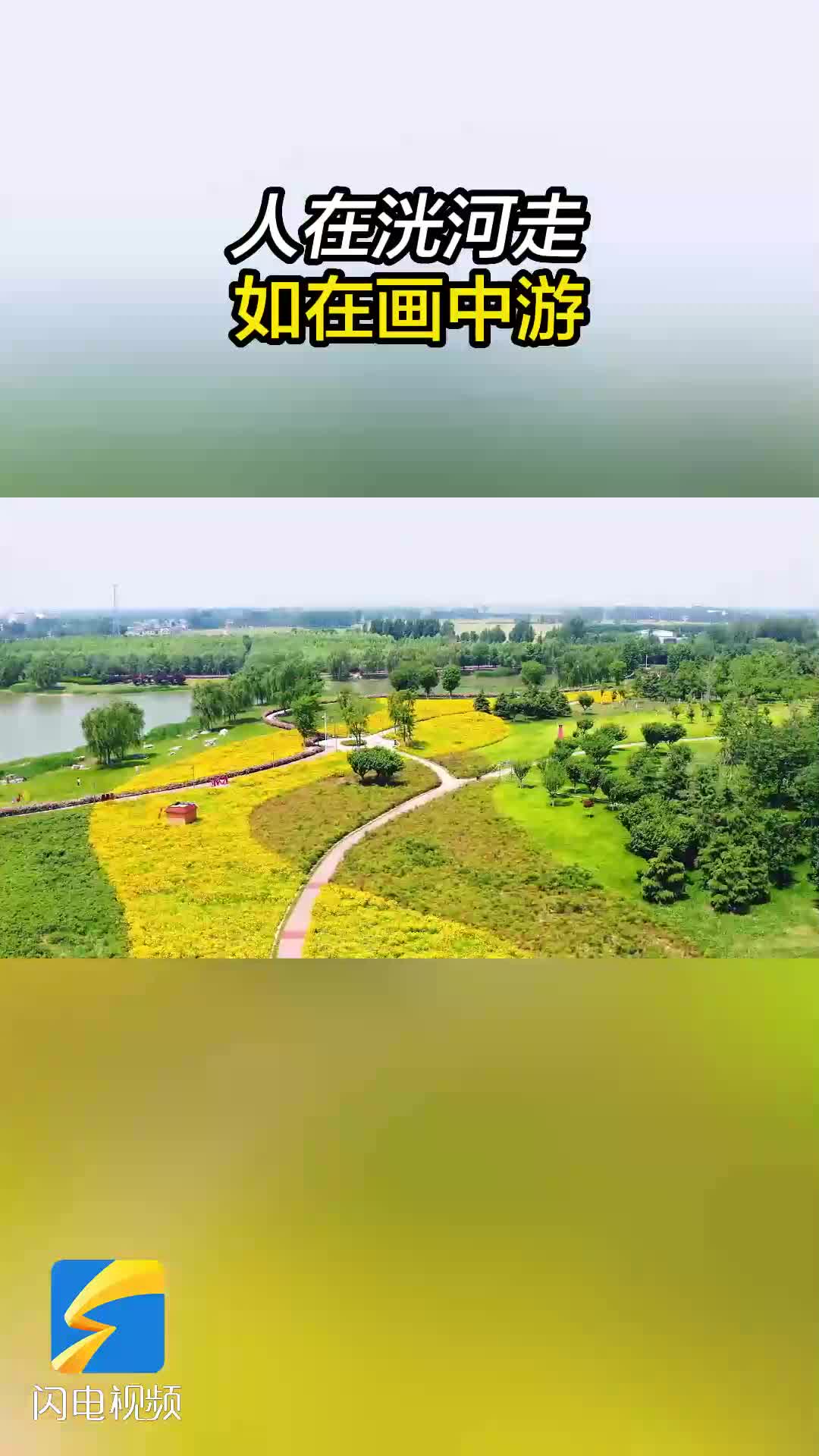 宁阳洸河公园简介图片