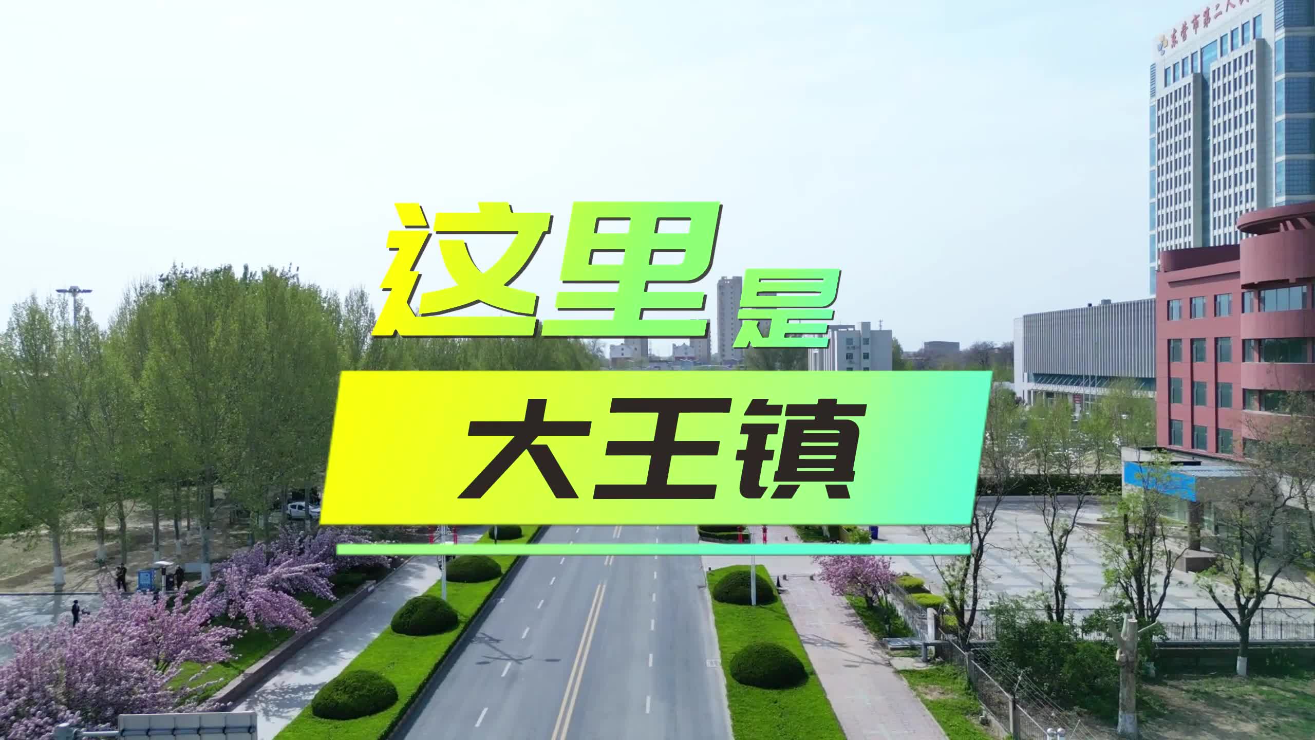 大王镇 sdxw.iqilu.com