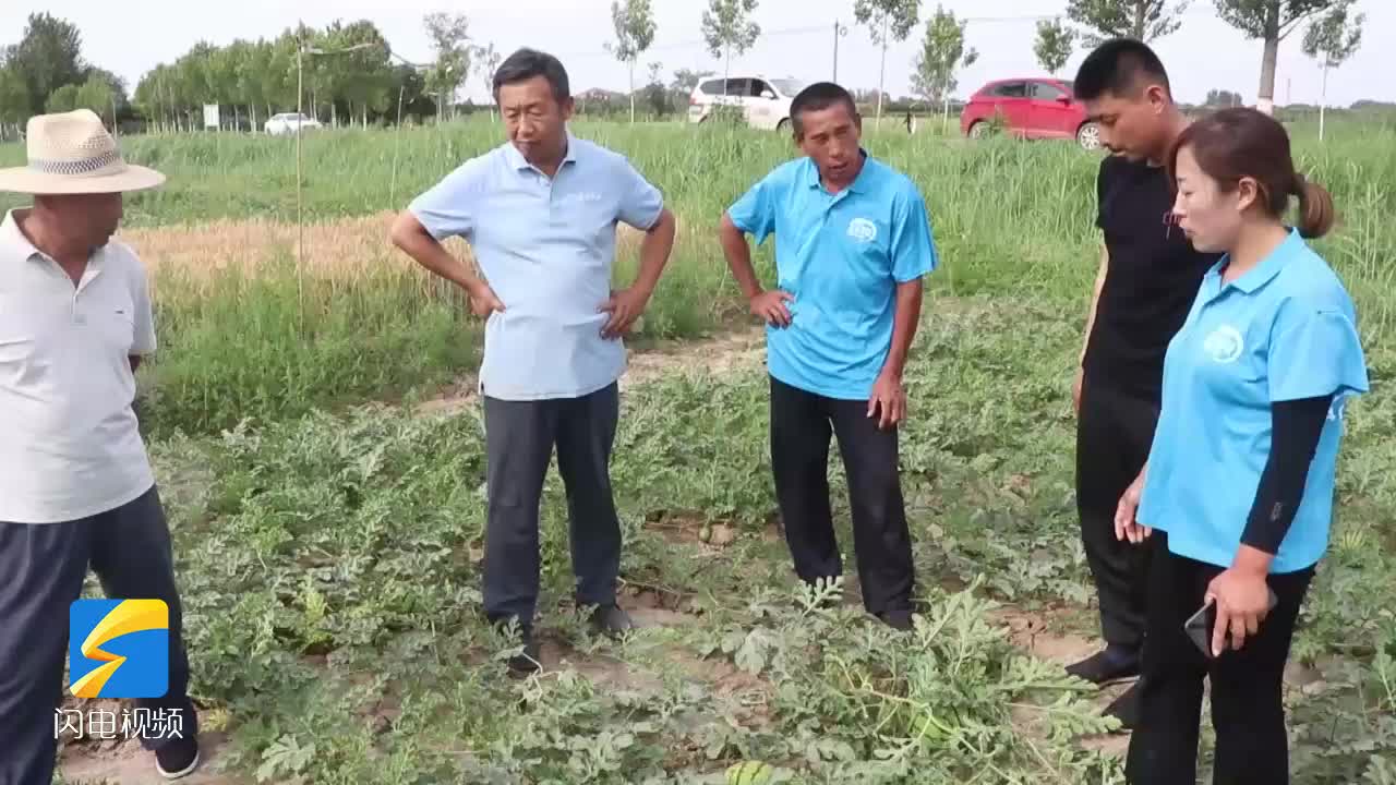陽信：富硒西瓜撐起致富新希望