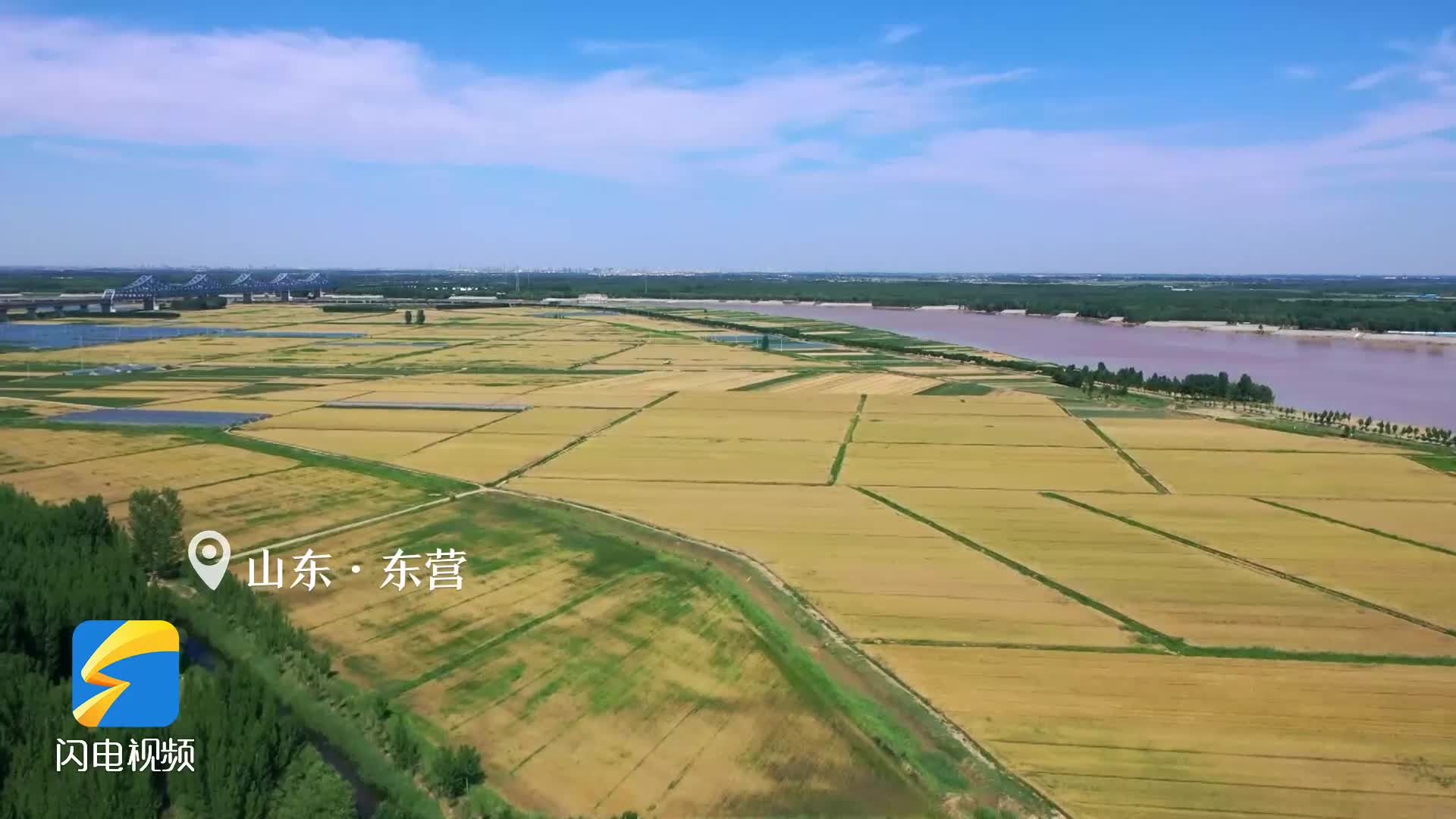 古詩詞里的豐收禮贊！齊魯大地好“豐”景，看鄉村振興新畫卷