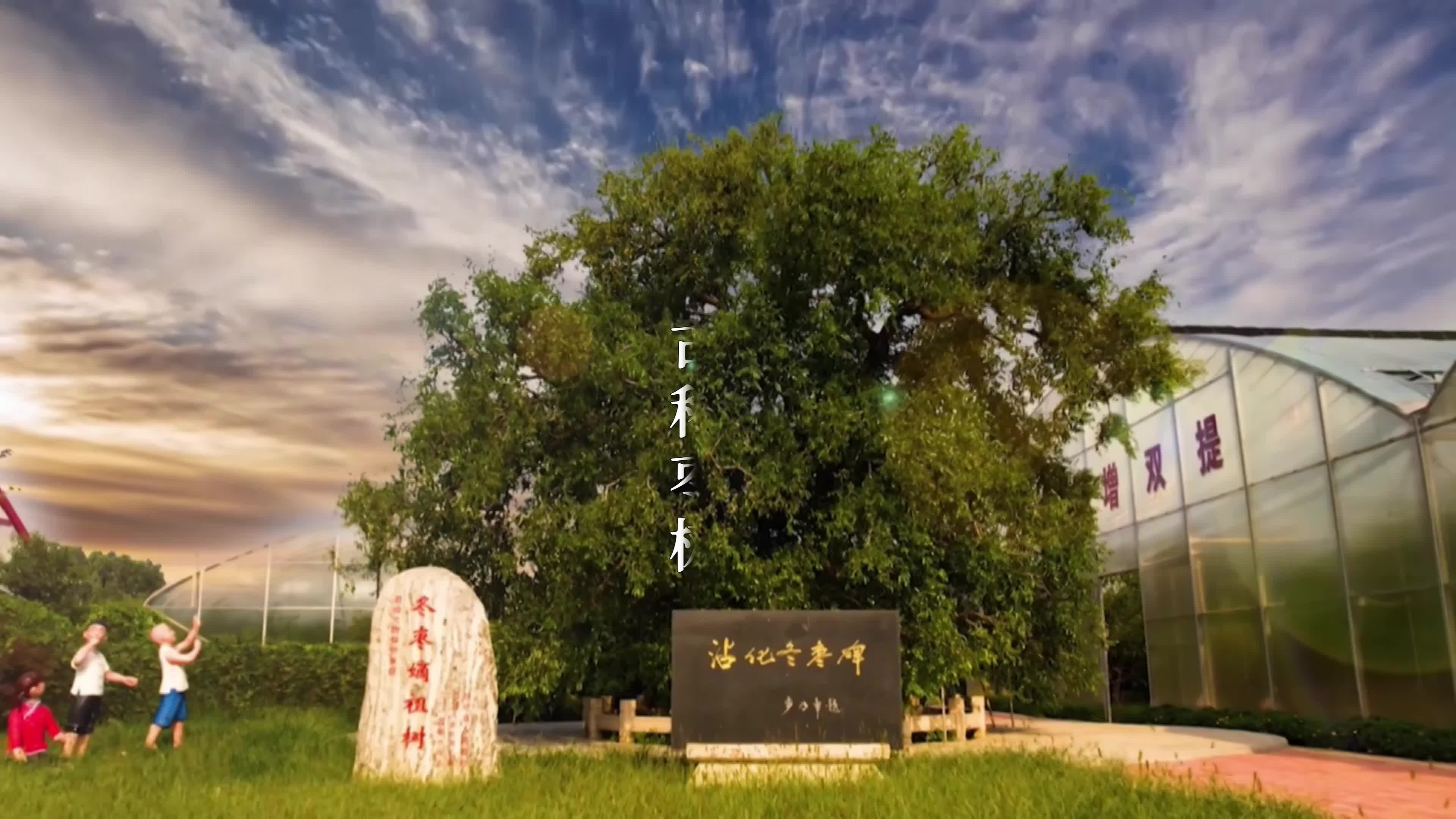 中国·沾化第四届枣花节将设置多项活动诚邀八方来客