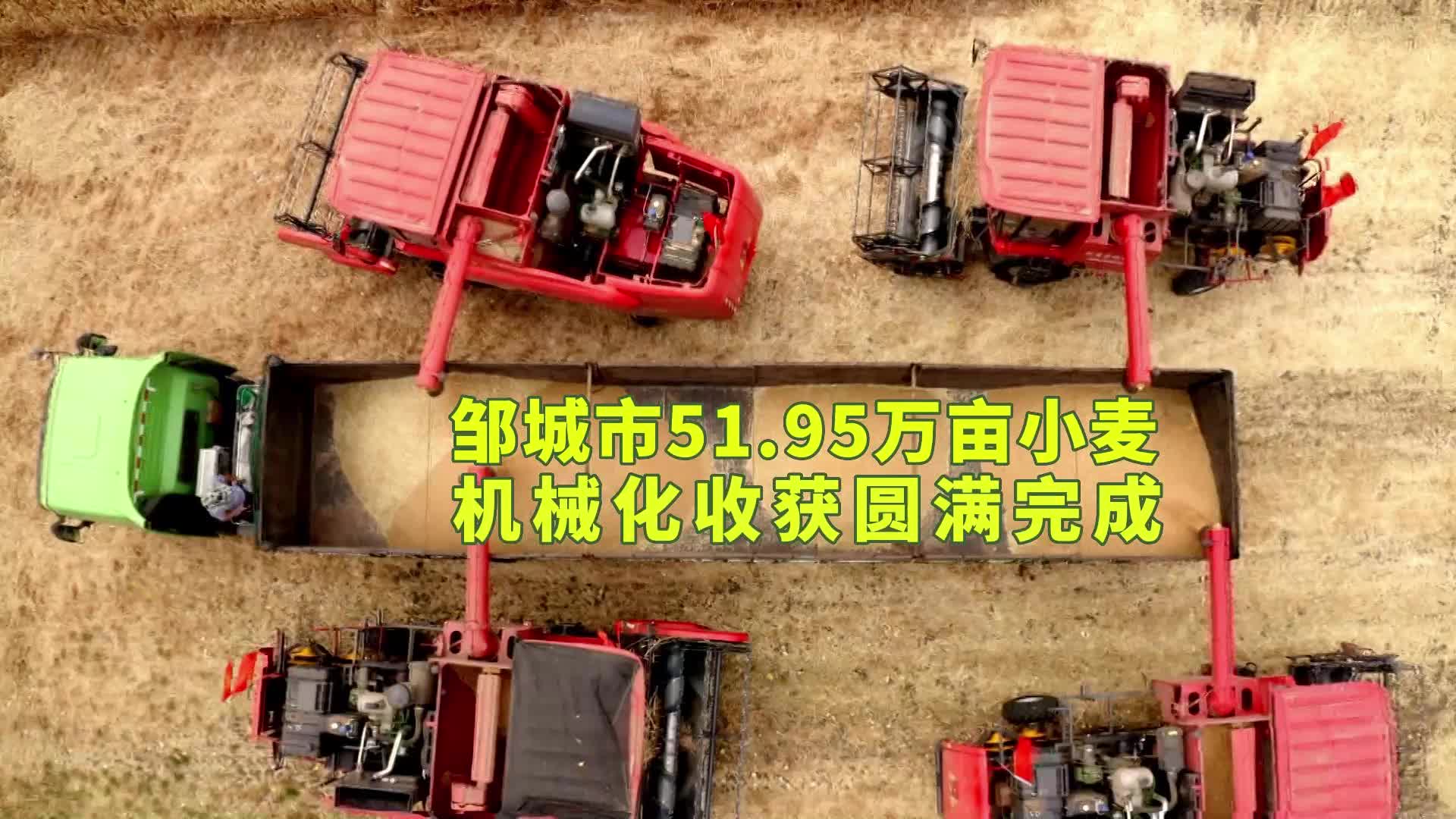 【邹视频·新闻】29秒 | 邹城：51.95万亩小麦机收报捷