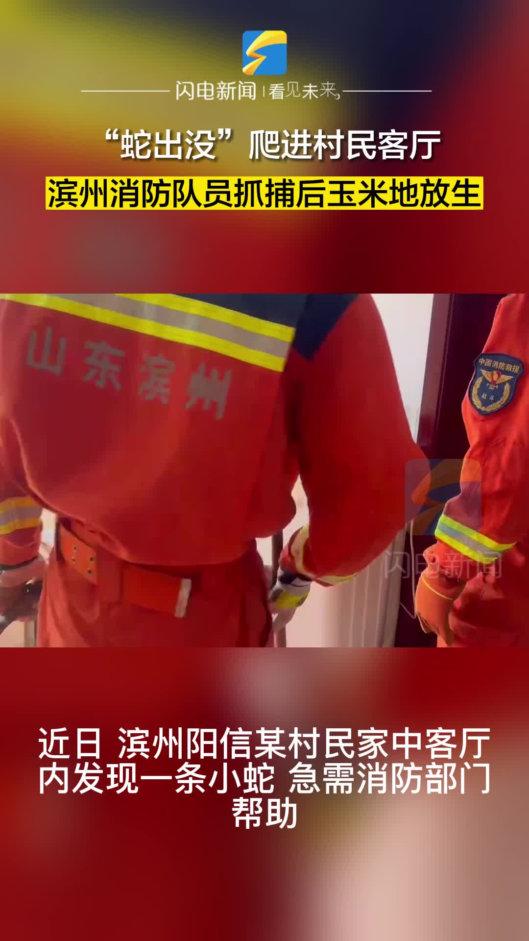 “蛇出沒”進(jìn)村民客廳 濱州陽信消防緊急救助