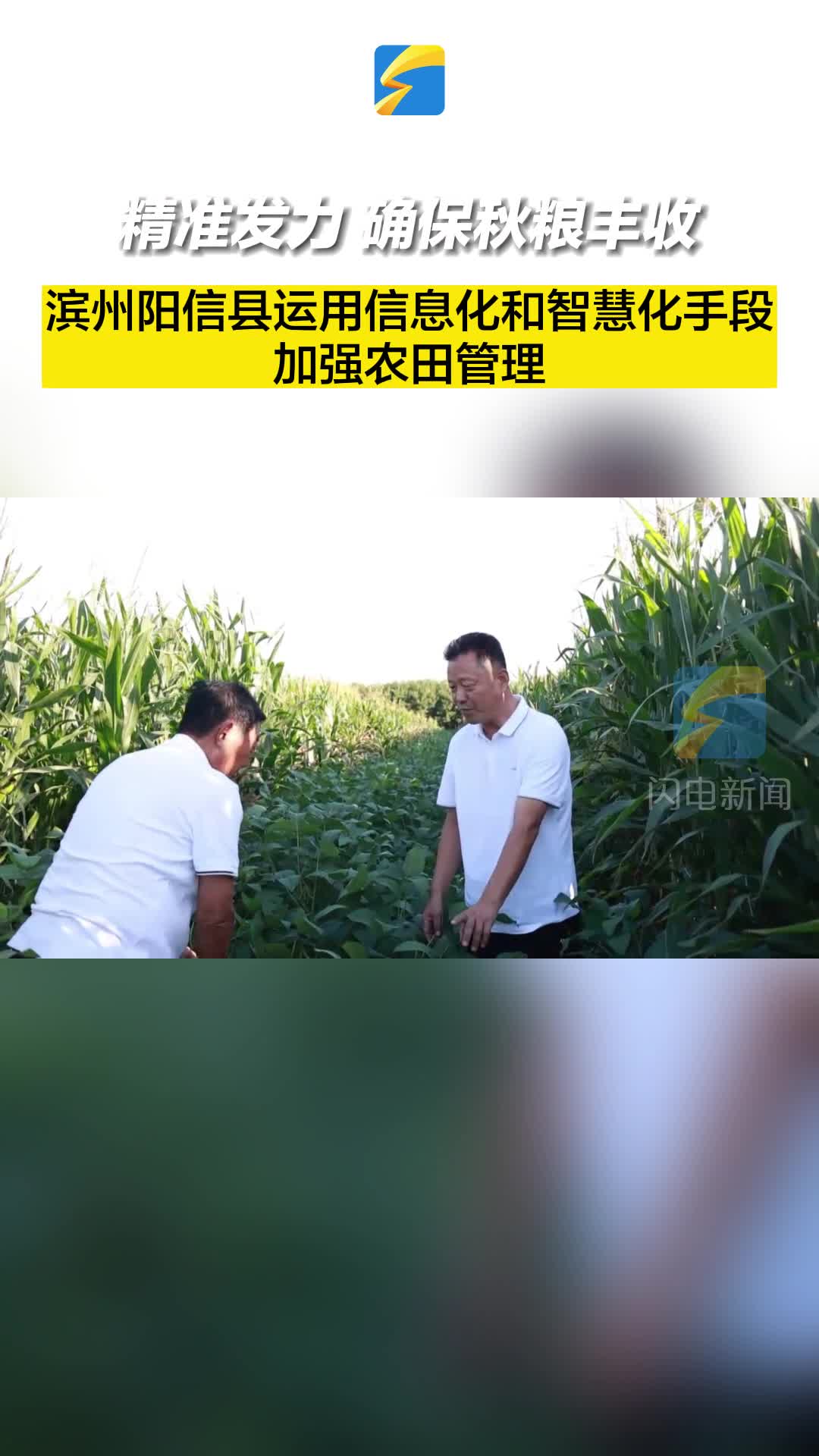 滨州阳信：科技助力田管 秋粮丰收在望