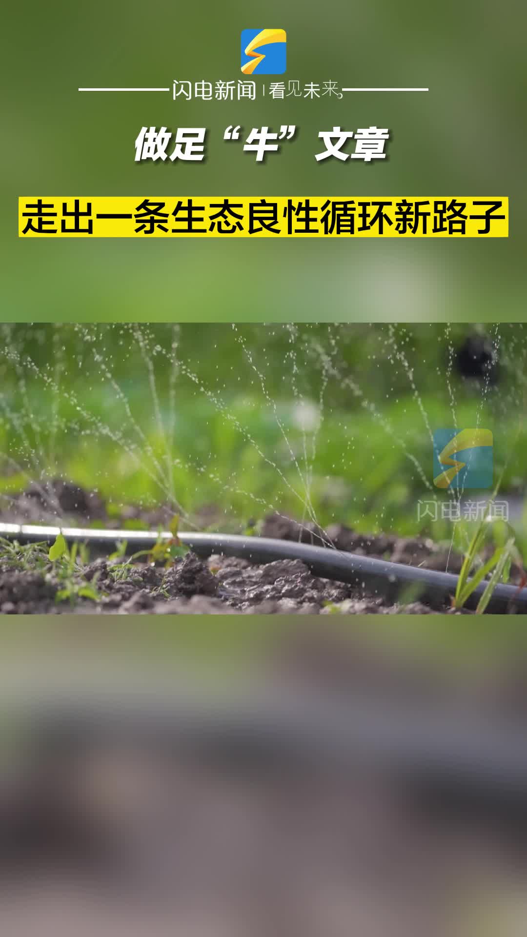 滨州沾化： 做足“牛”文章  走出一条生态良性循环新路子