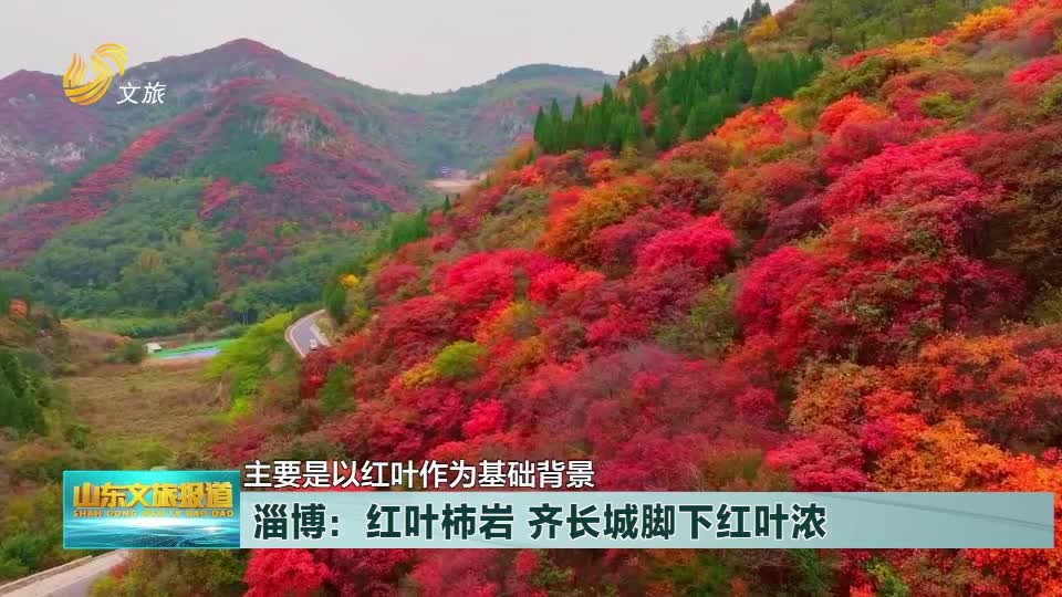 红叶柿岩春节免费图片