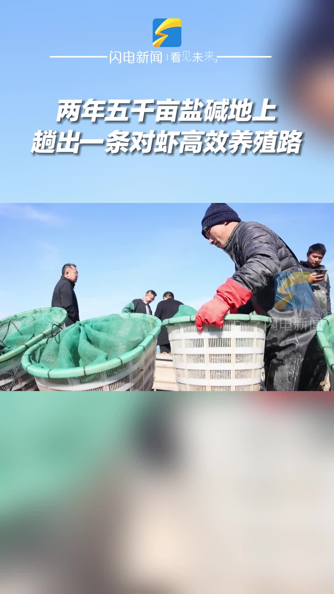 濱州沾化：兩年五千畝鹽堿地上趟出一條對蝦高效養殖路