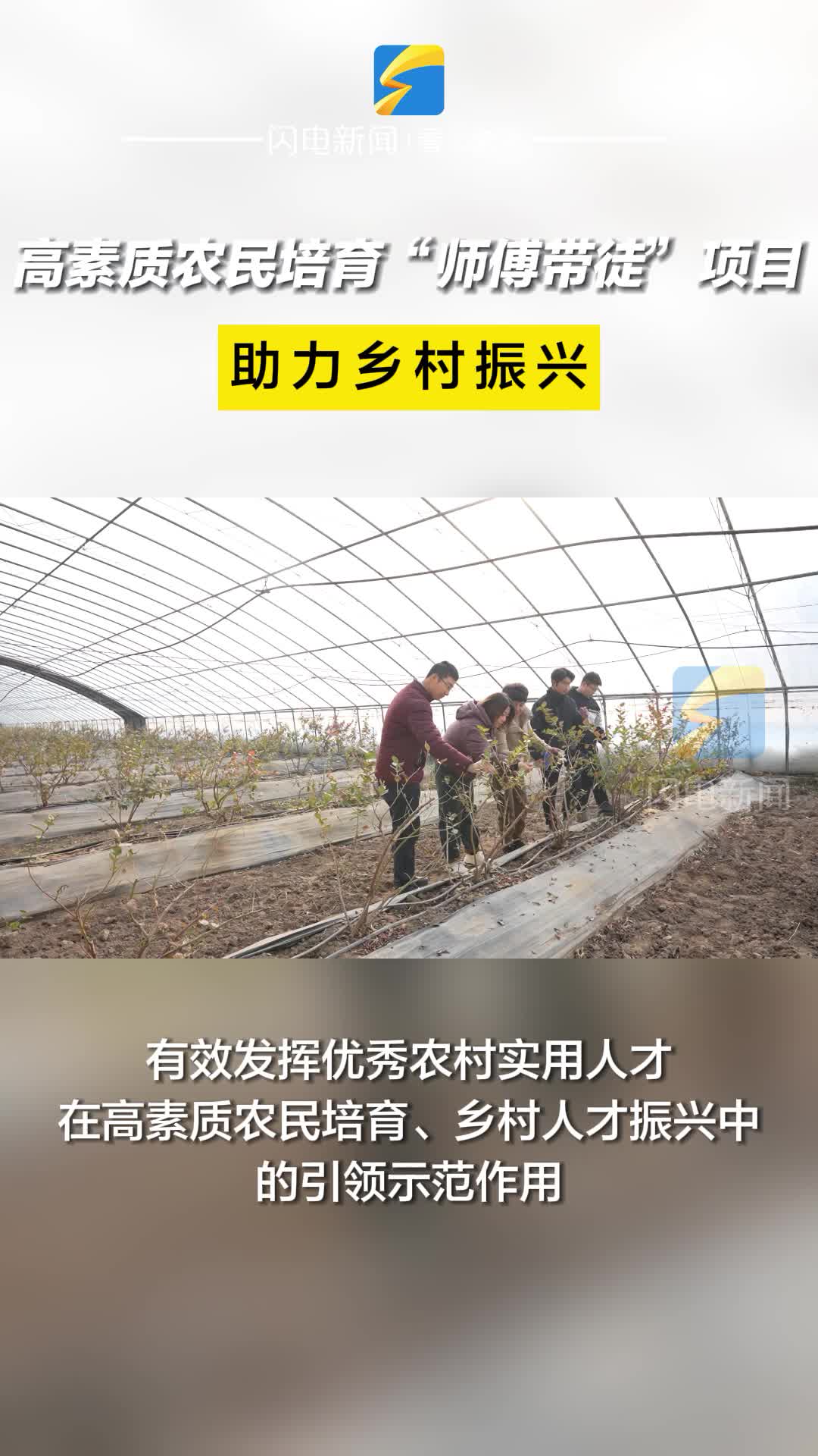 陽信縣開展高素質農民培育“師傅帶徒”項目 助力鄉村振興