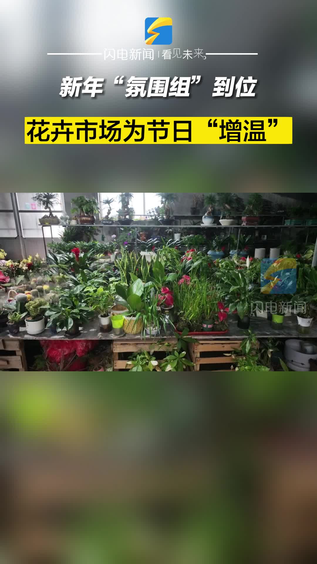 濱州陽信新年氛圍組到位花卉市場為節日增溫