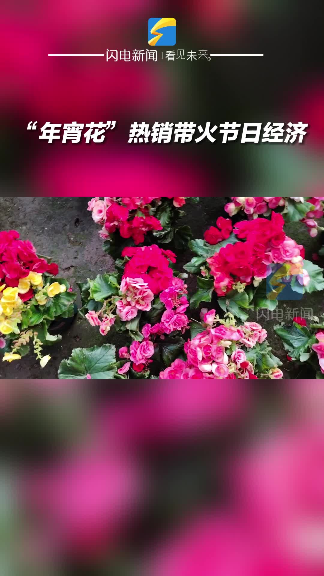 无棣：“年宵花”热销带火节日经济