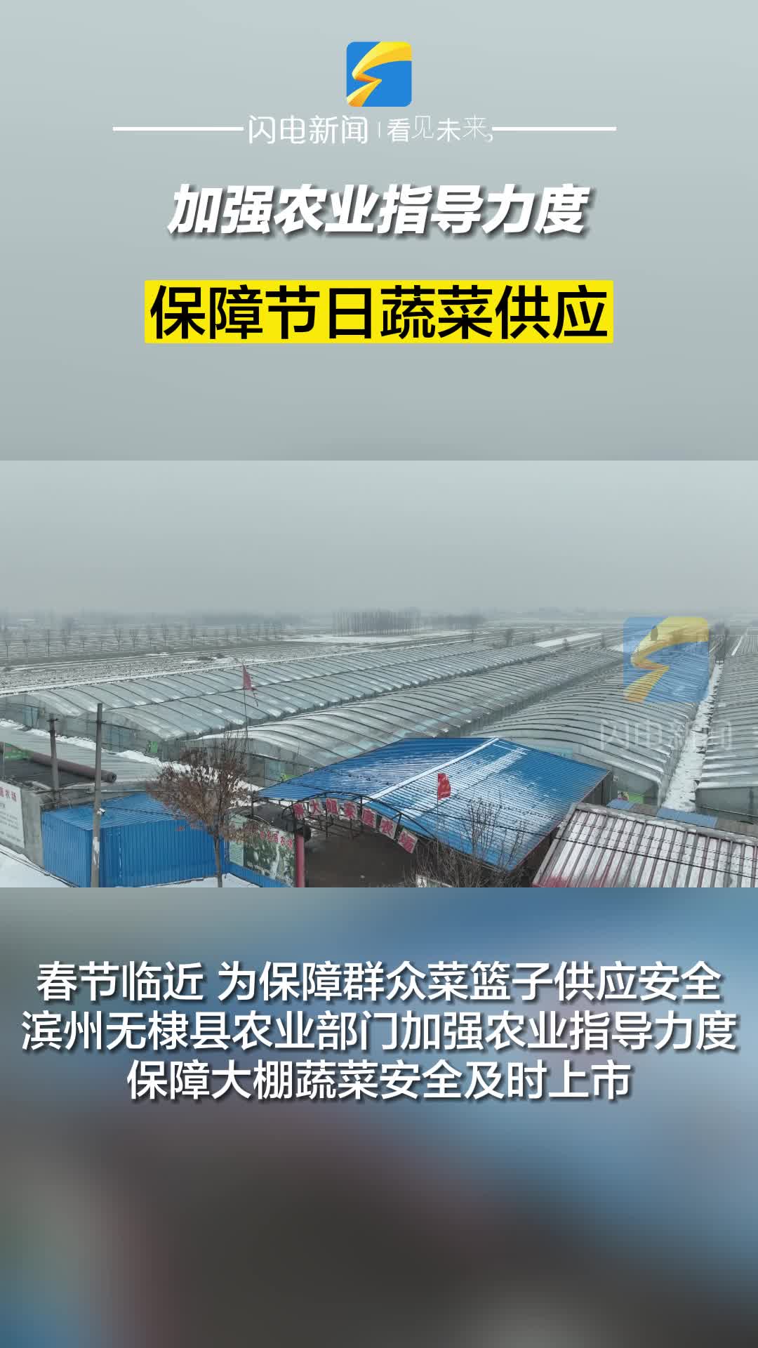 濱州無棣：加強農業指導力度 保障節日蔬菜供應