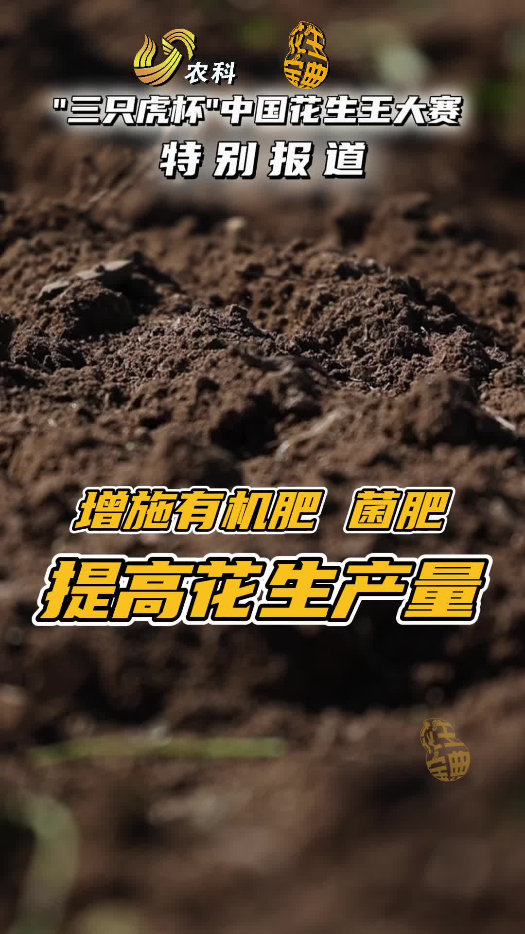 增施有机肥菌肥提高花生产量