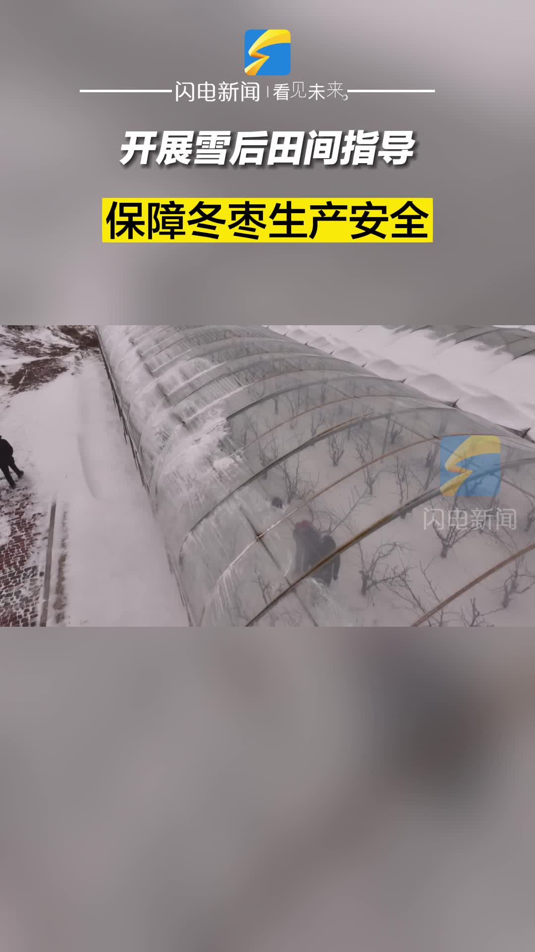 滨州沾化：开展雪后田间指导 保障冬枣生产安全