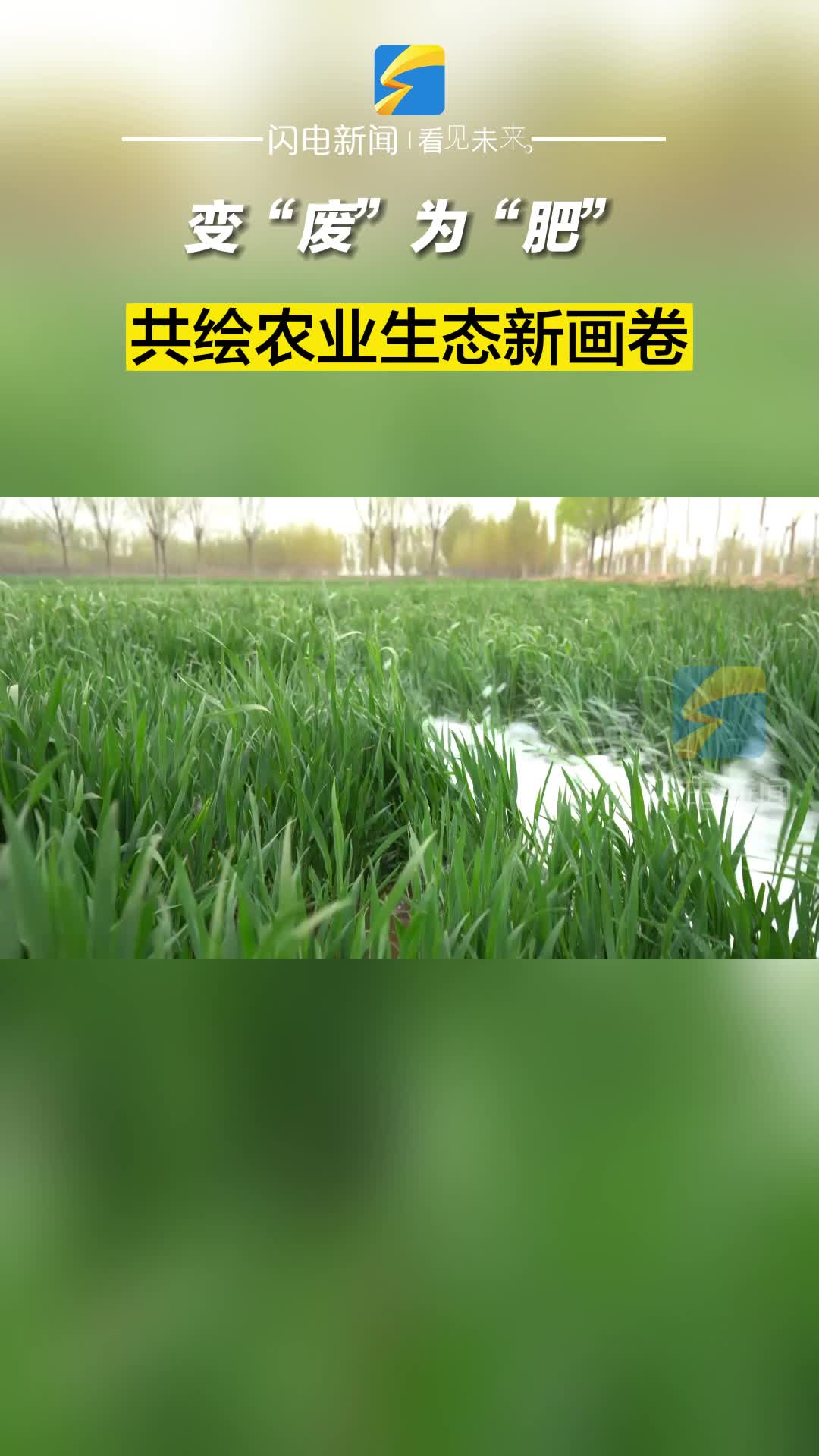 滨州阳信：变“废”为“肥” 共绘农业生态新画卷