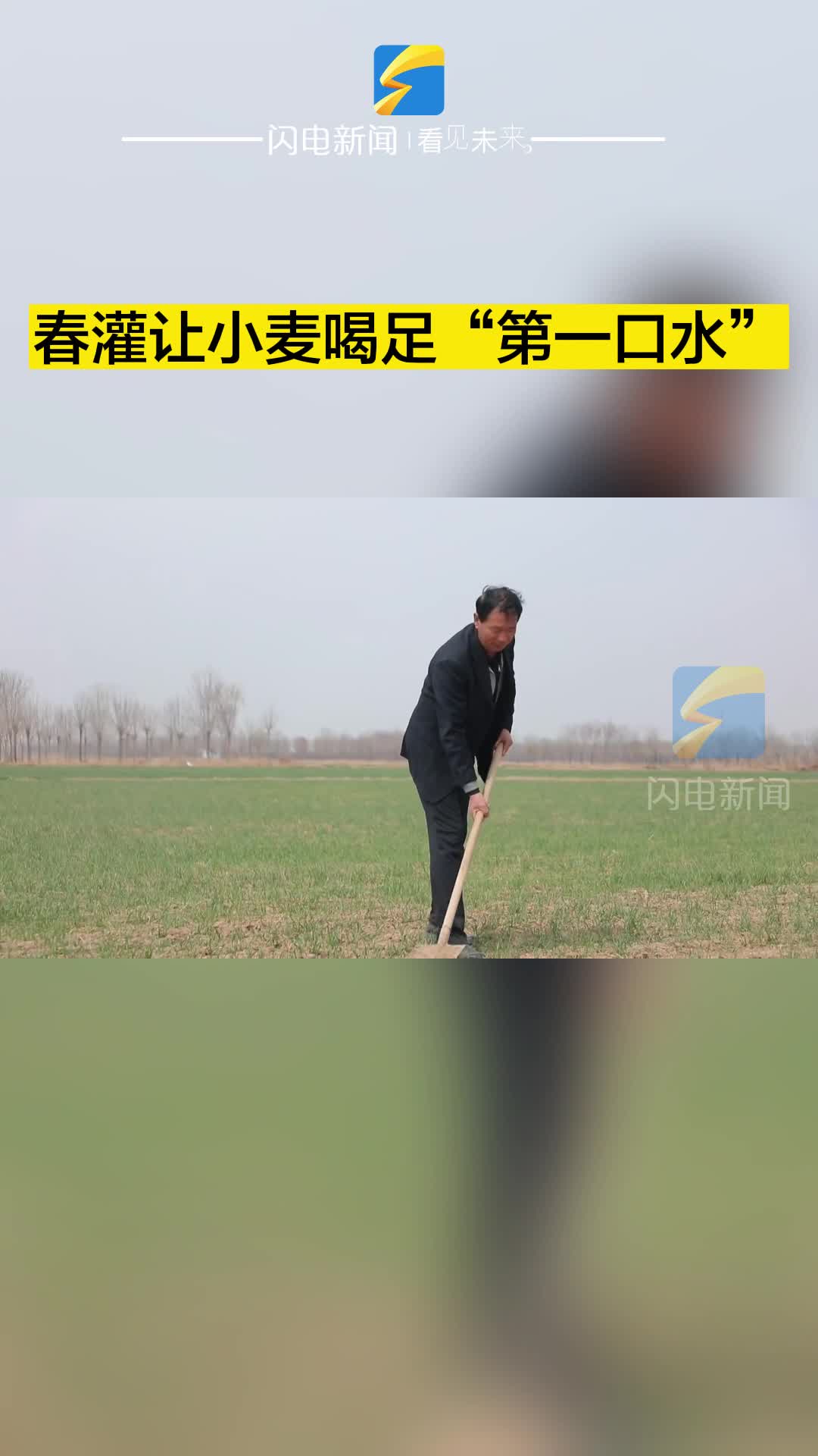滨州沾化： 春灌让小麦喝足“第一口水”