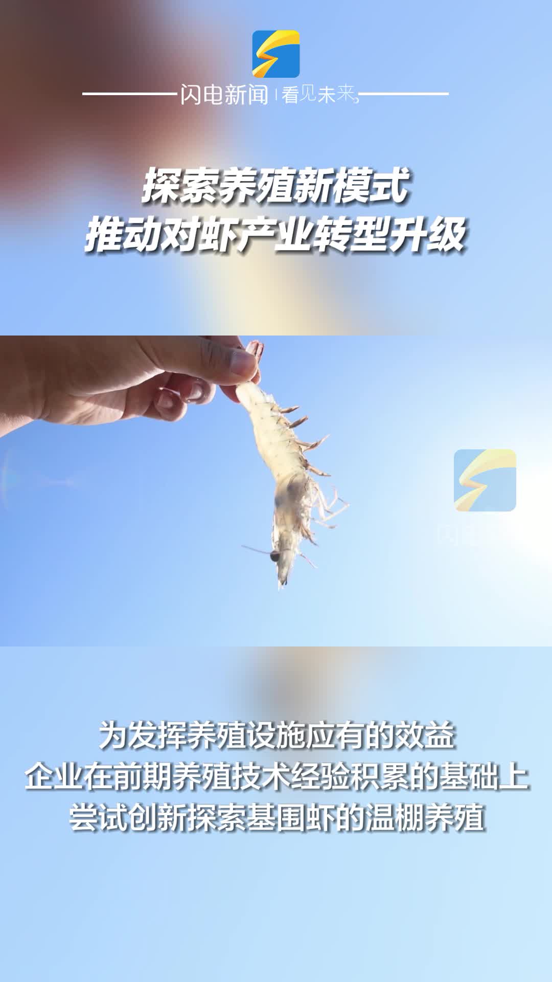 滨州沾化：探索养殖新模式 推动对虾产业转型升级