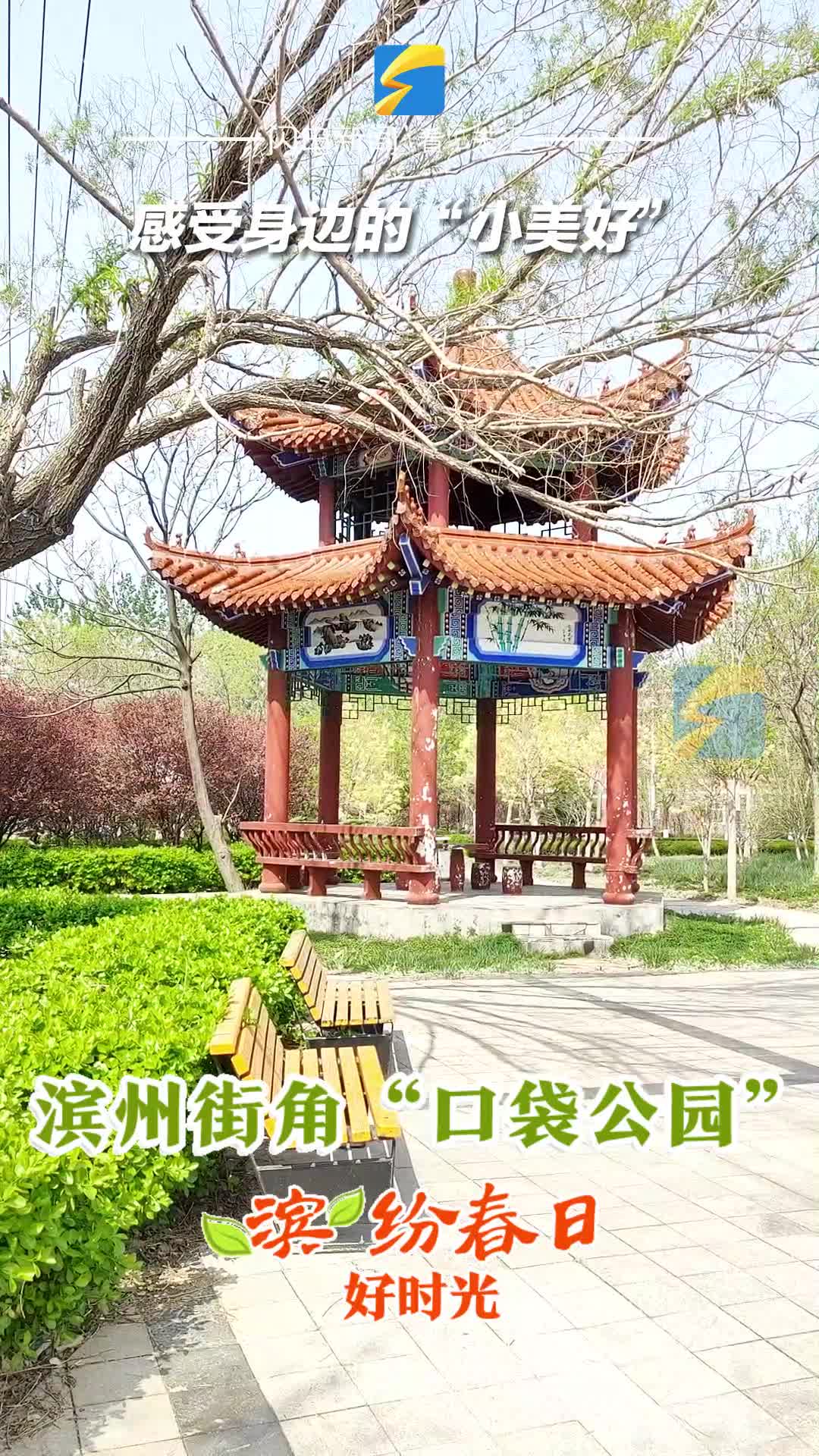 感受身邊的“小美好” 走進轉角可遇的“口袋公園”