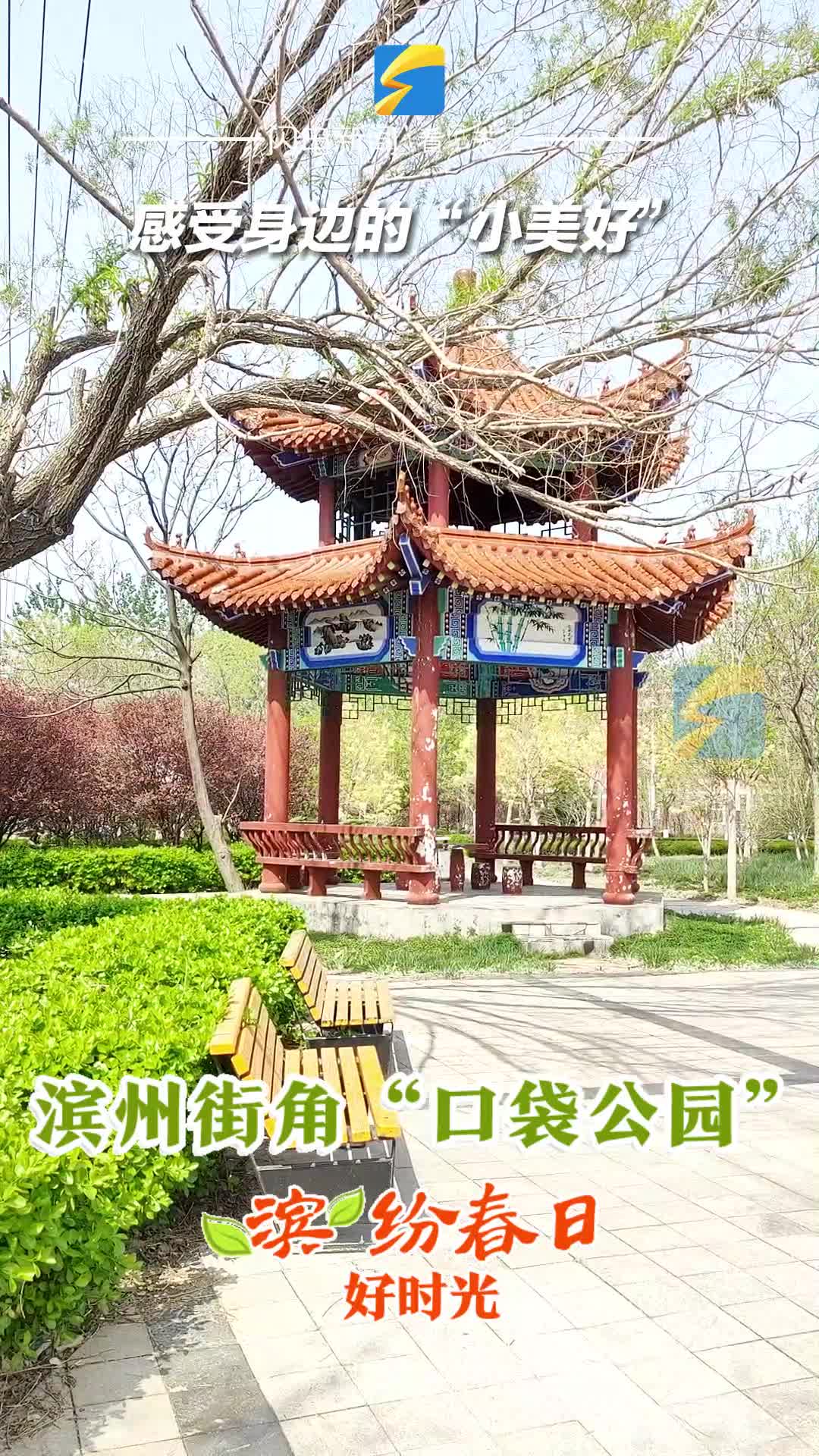 感受身边的“小美好” 走进转角可遇的“口袋公园”